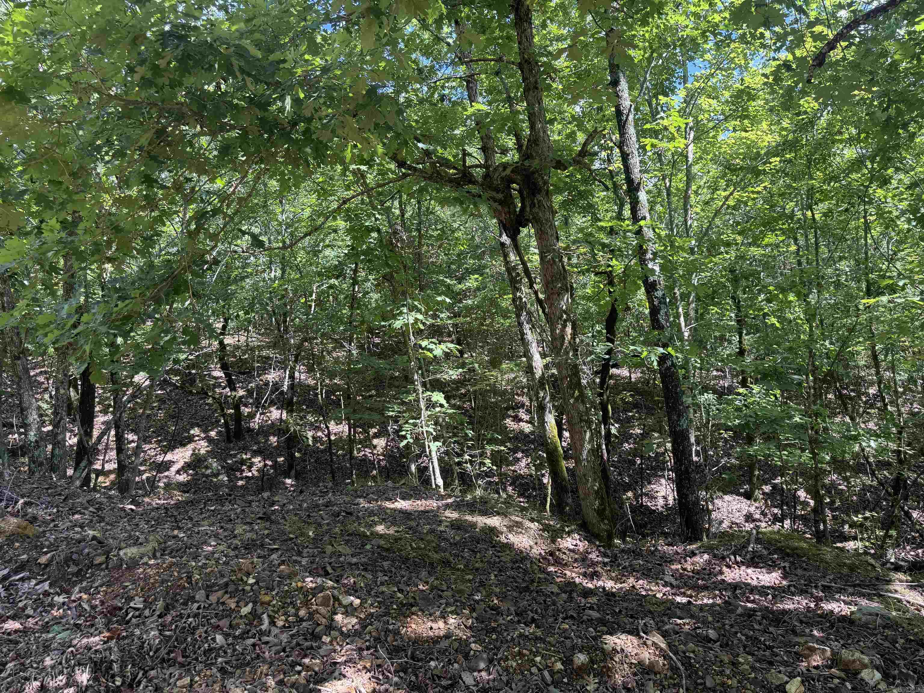 000 Mt Laurel Property Photo 17