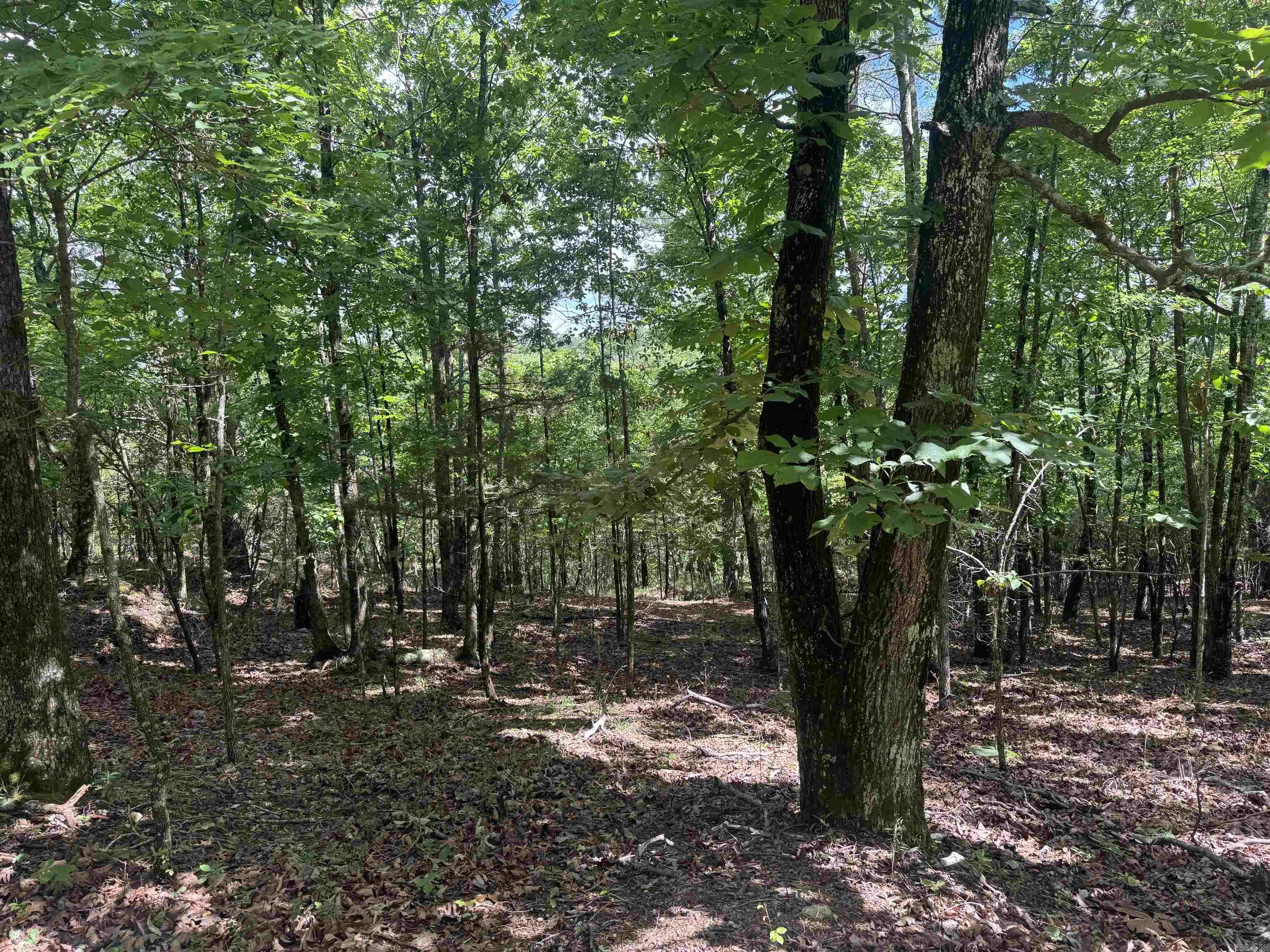 000 Mt Laurel Property Photo 18