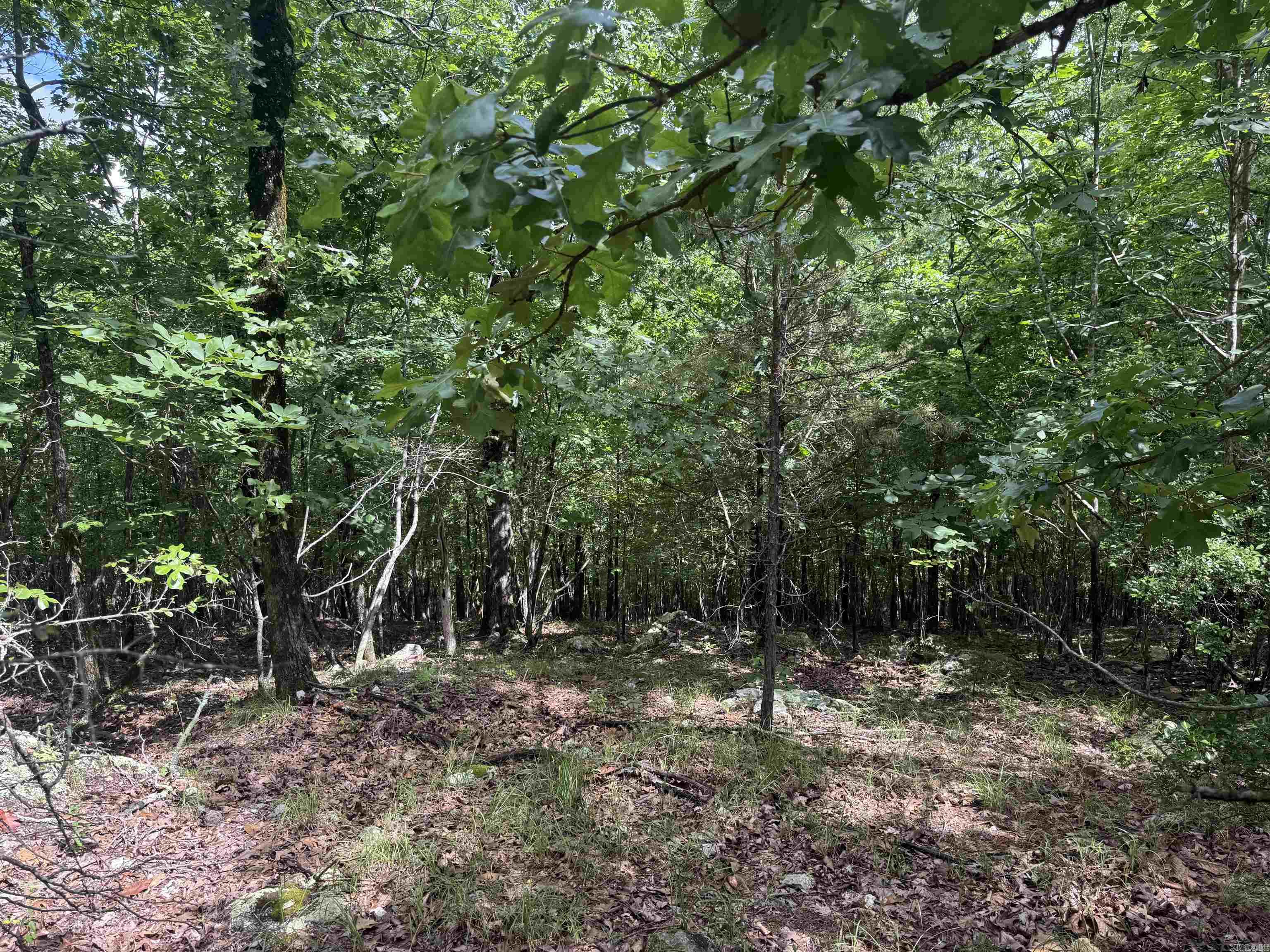 000 Mt Laurel Property Photo 19