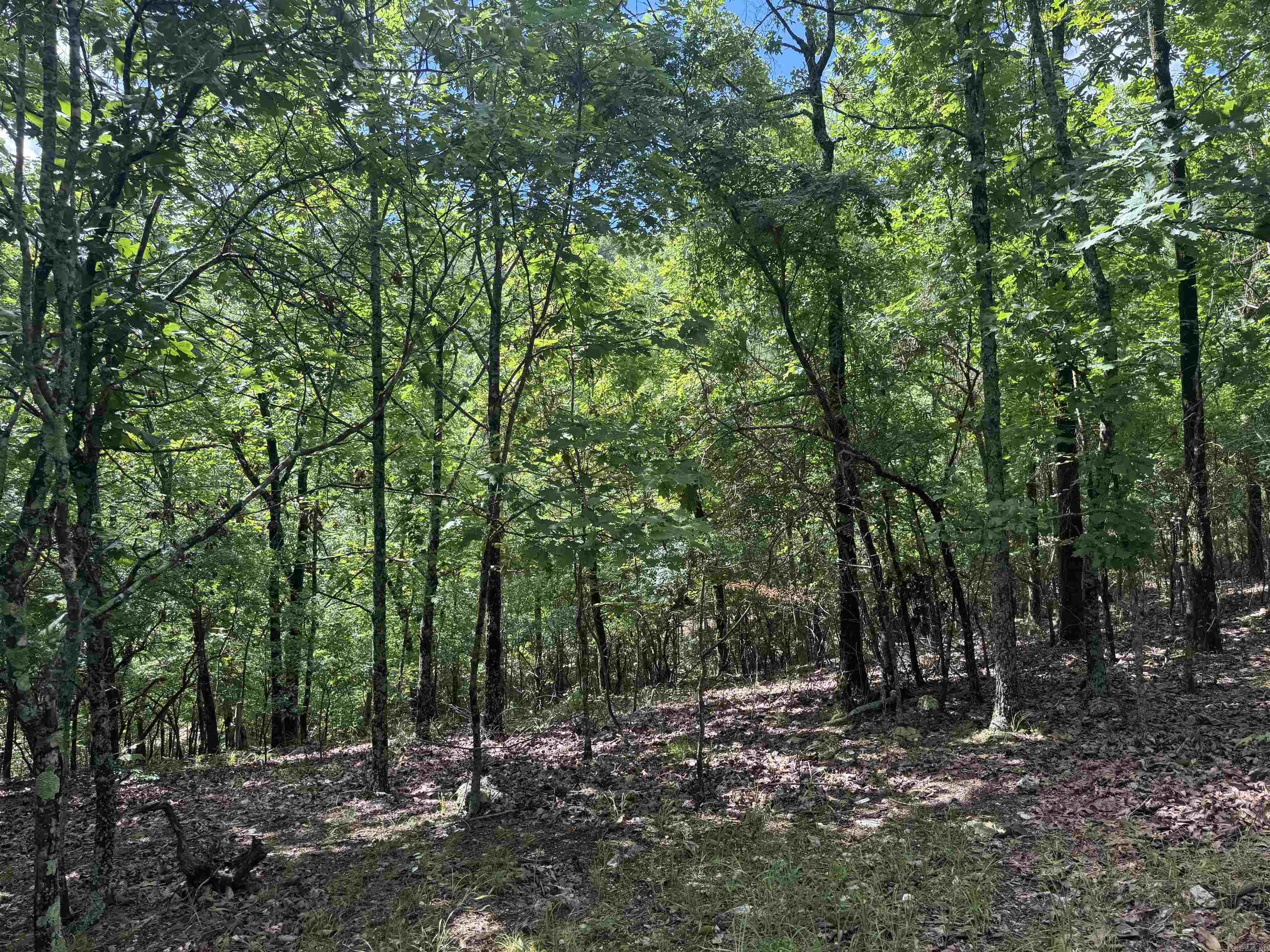 000 Mt Laurel Property Photo 20