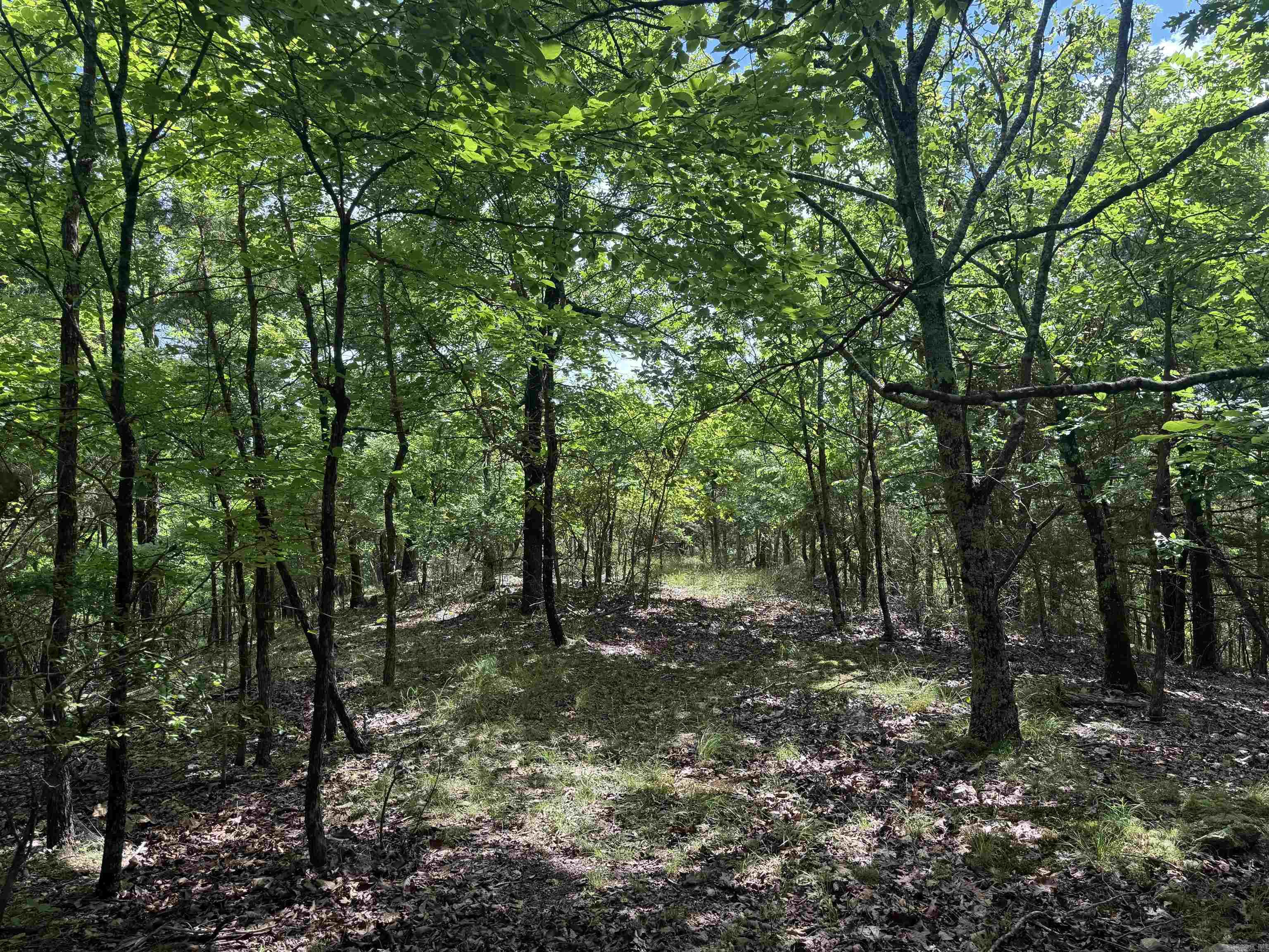 000 Mt Laurel Property Photo 21
