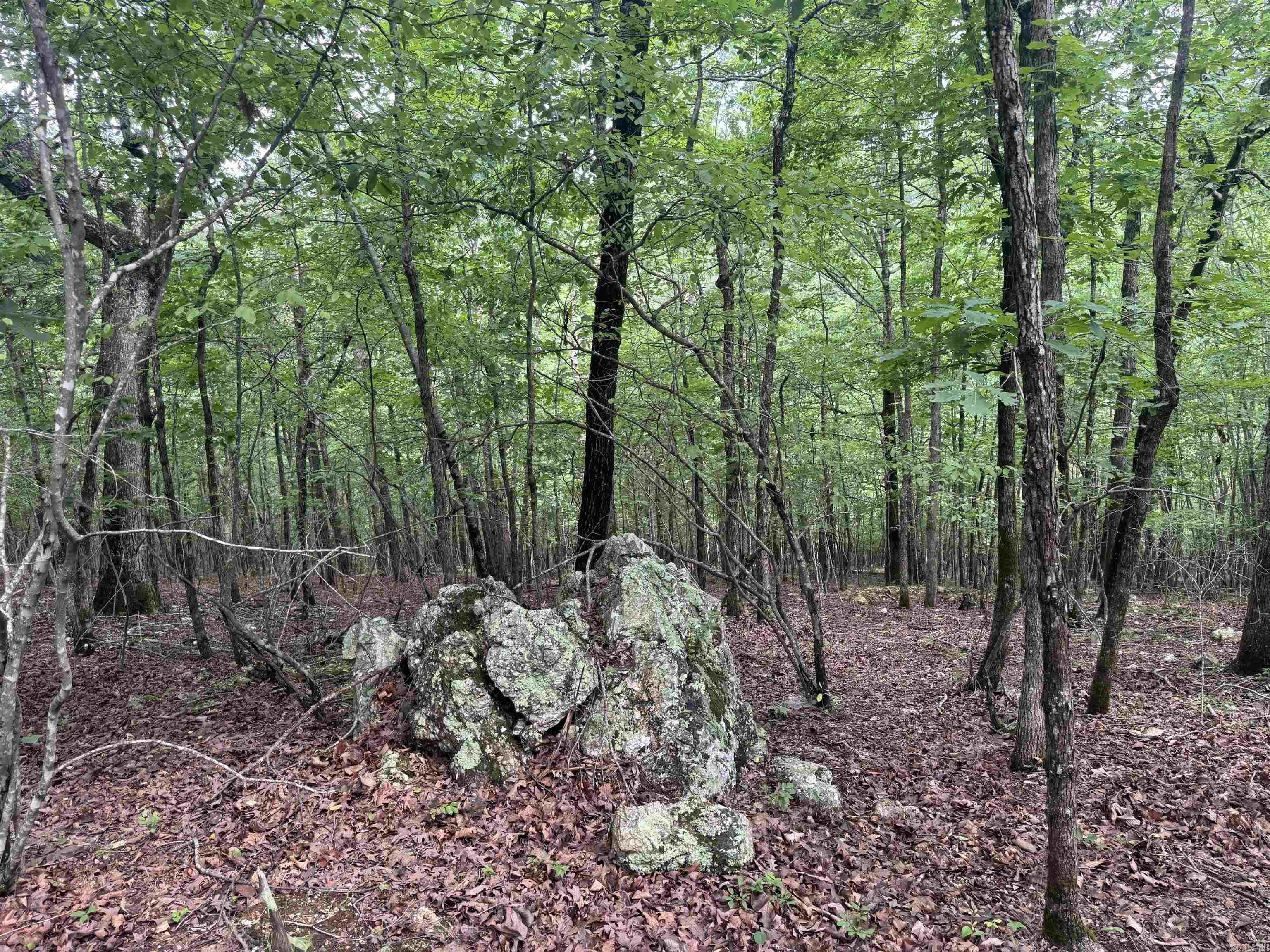 000 Mt Laurel Property Photo 22