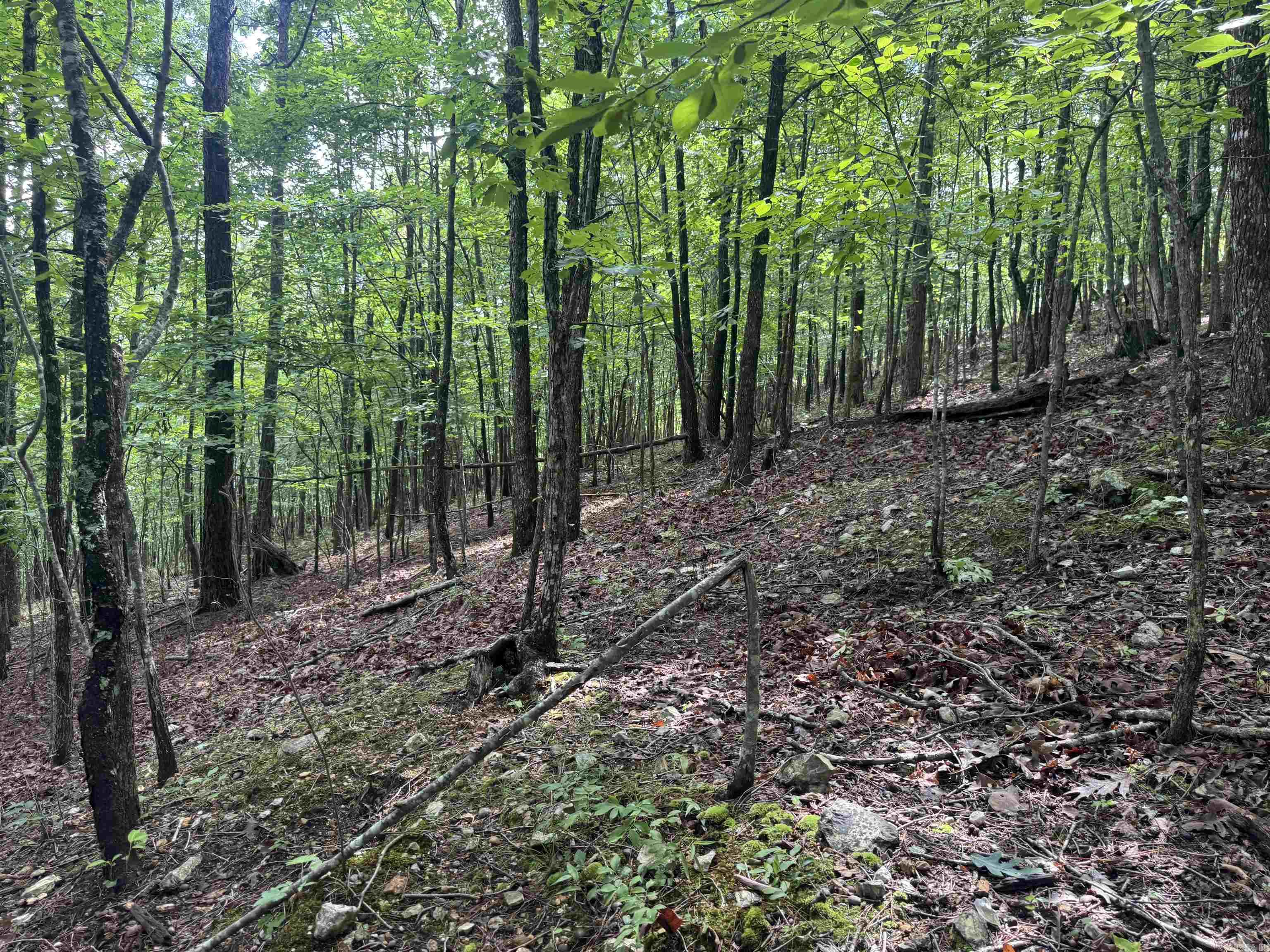 000 Mt Laurel Property Photo 23