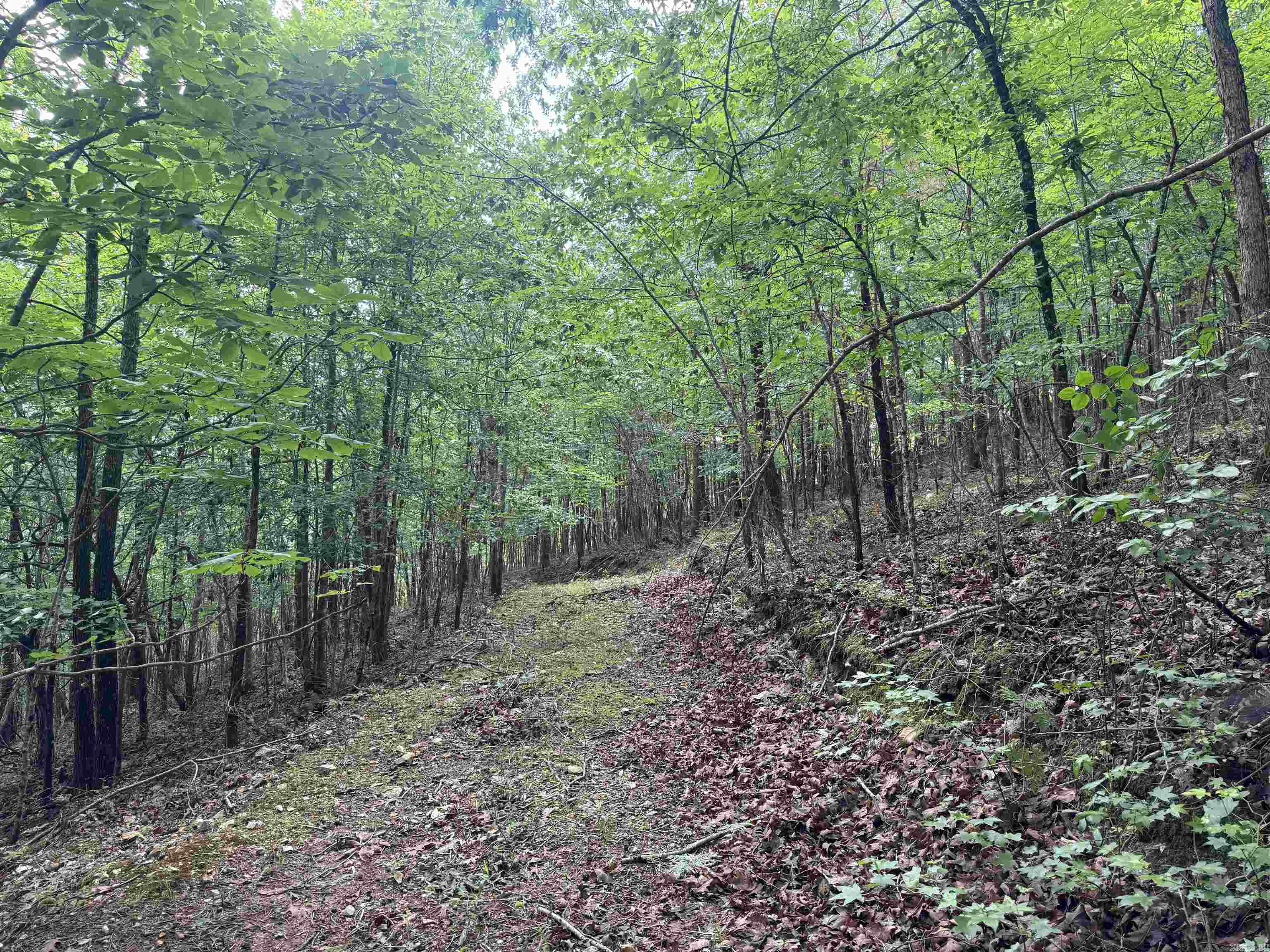 000 Mt Laurel Property Photo 24