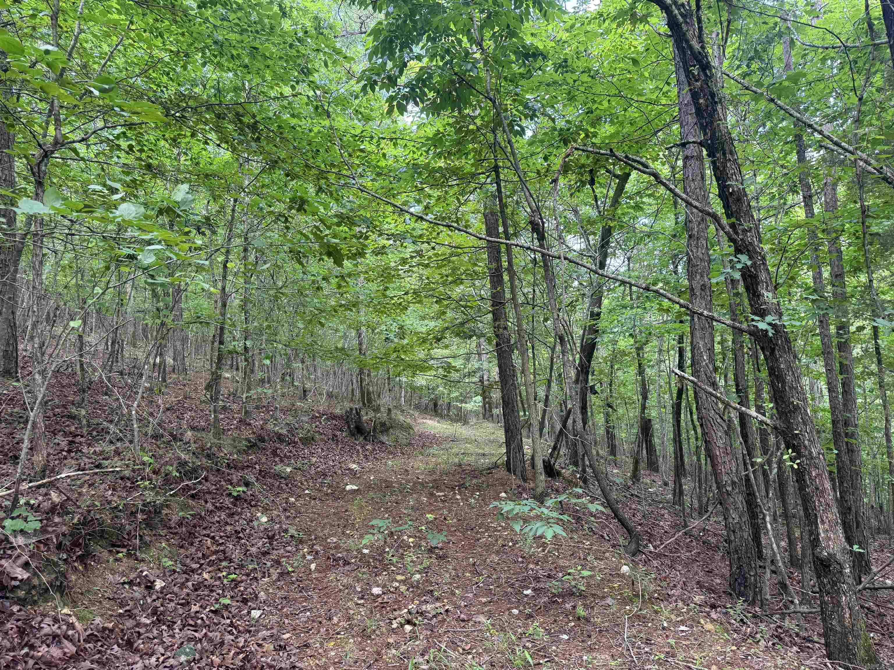 000 Mt Laurel Property Photo 25