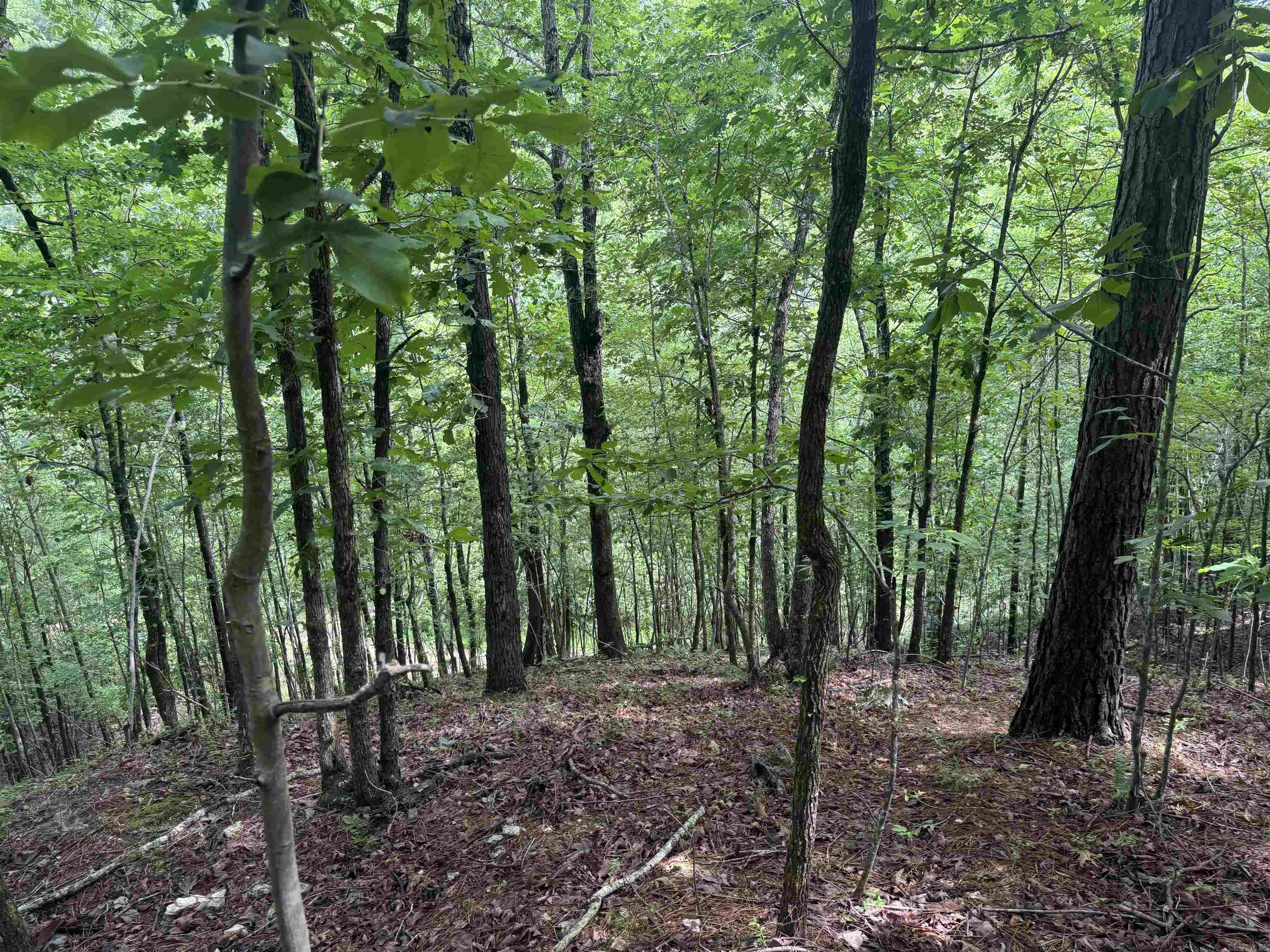 000 Mt Laurel Property Photo 26