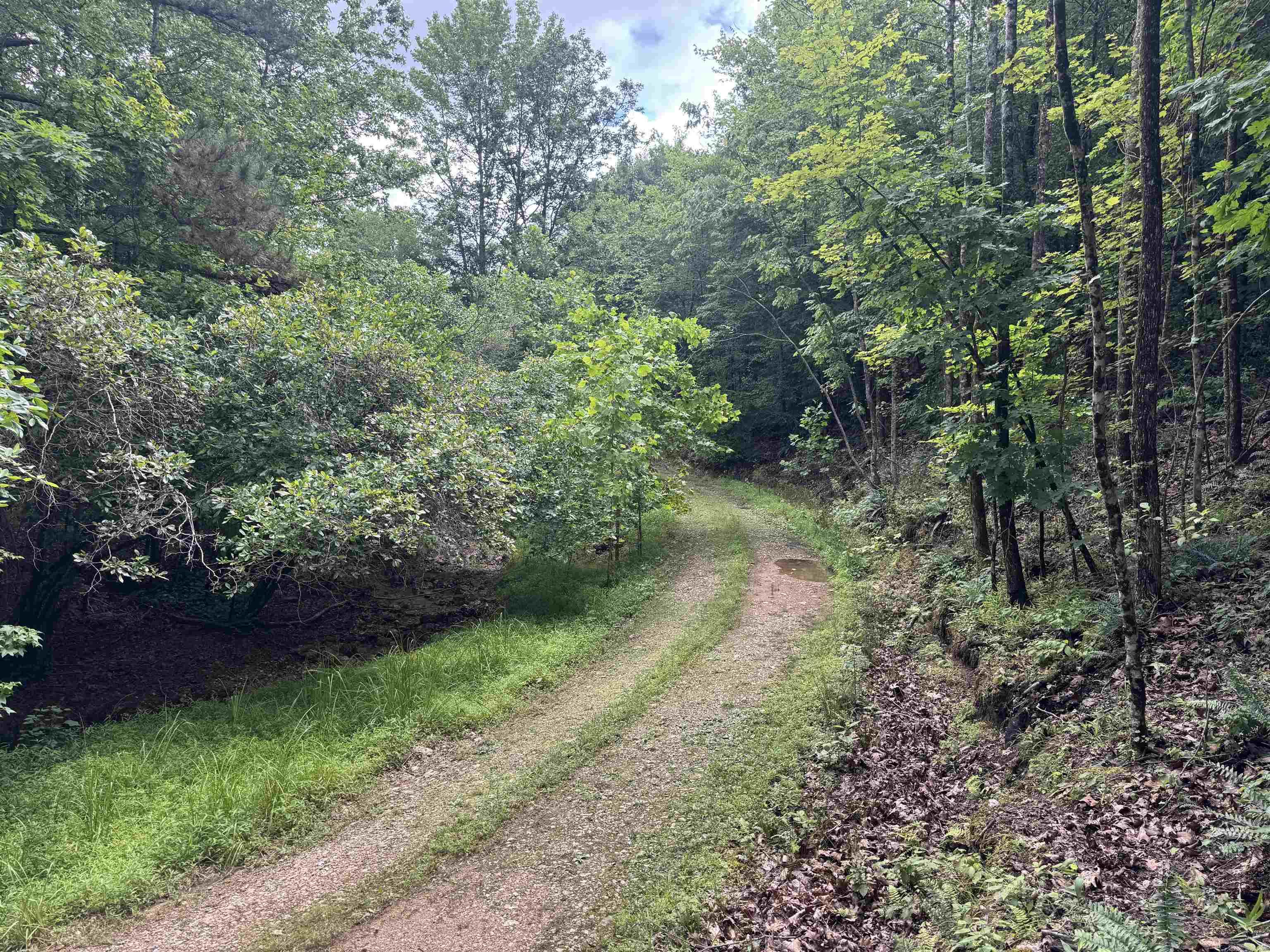 000 Mt Laurel Property Photo 27