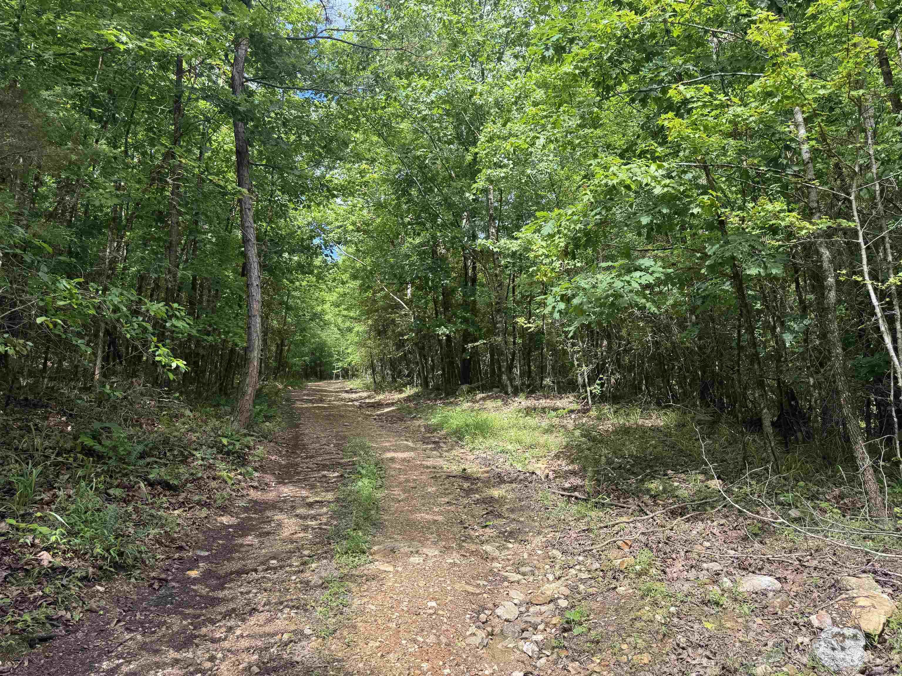 000 Mt Laurel Property Photo 28