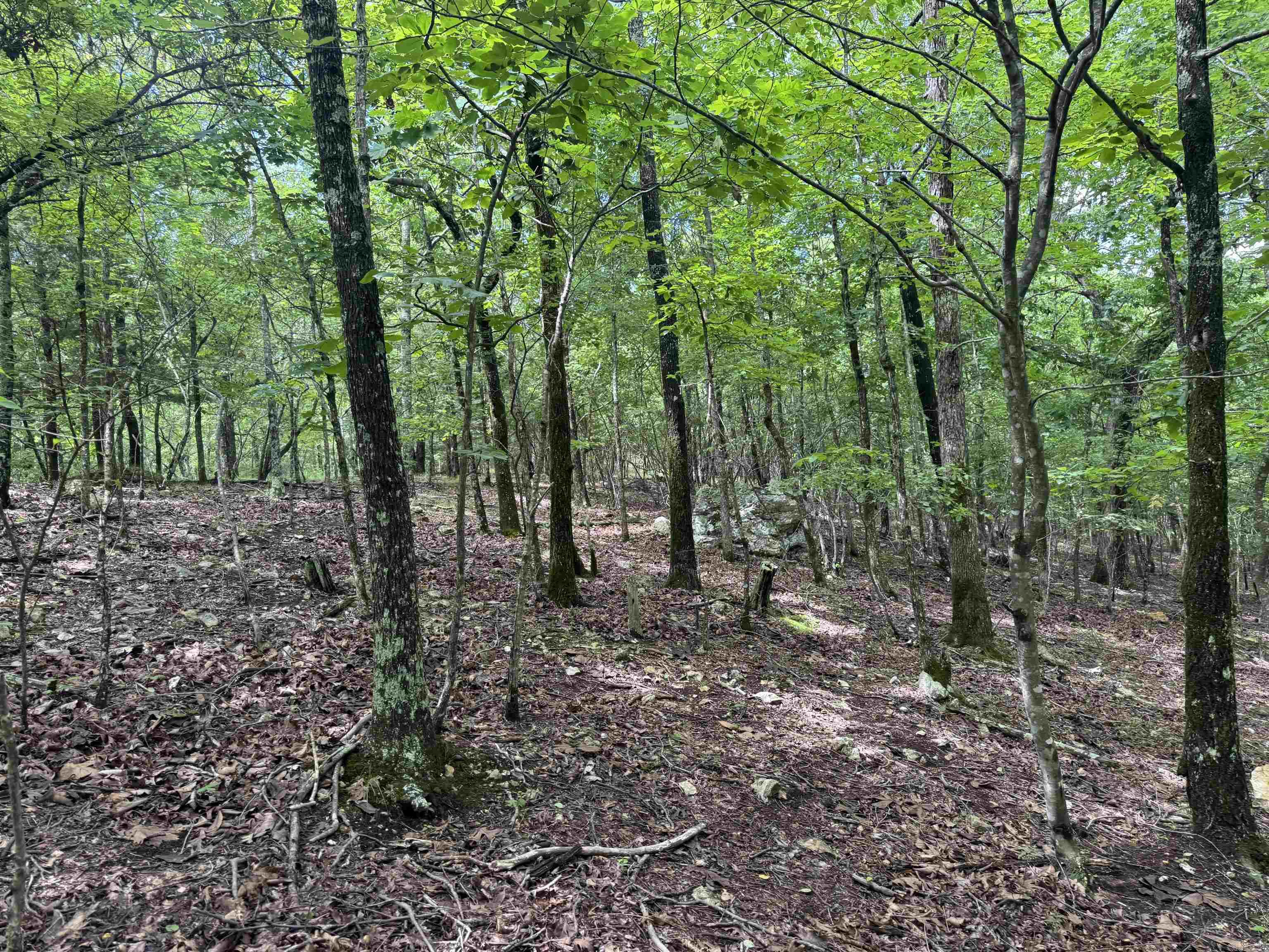 000 Mt Laurel Property Photo 30