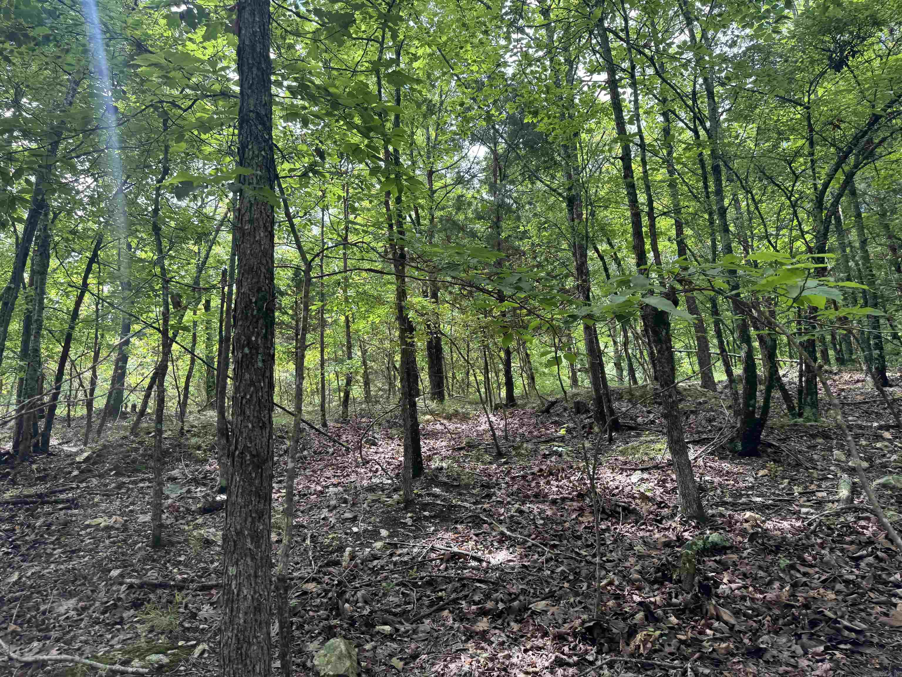 000 Mt Laurel Property Photo 31