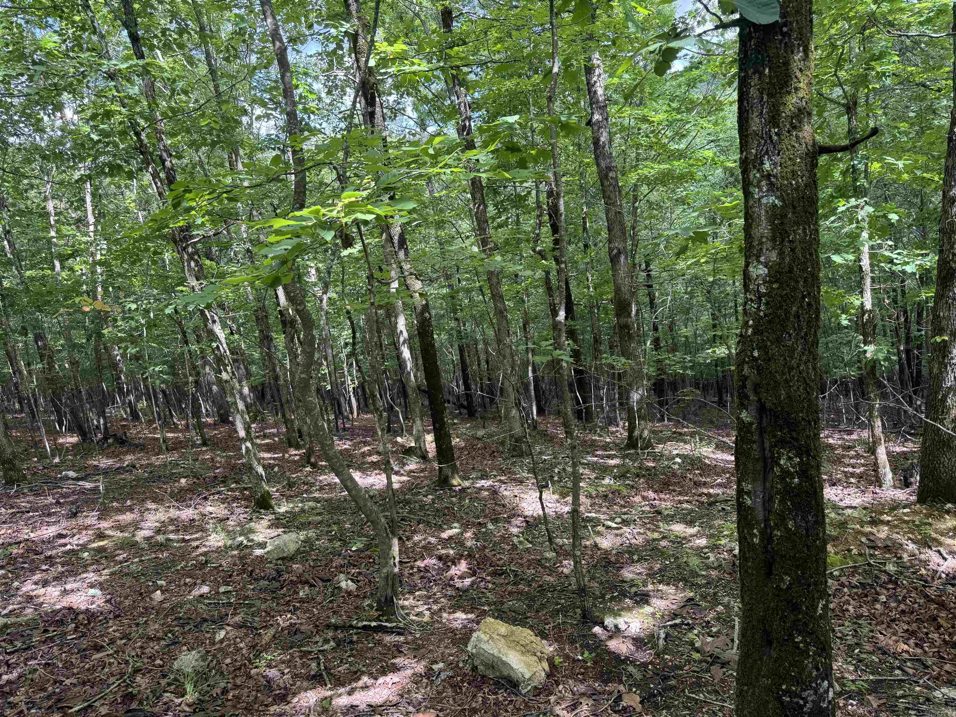 000 Mt Laurel Property Photo 32