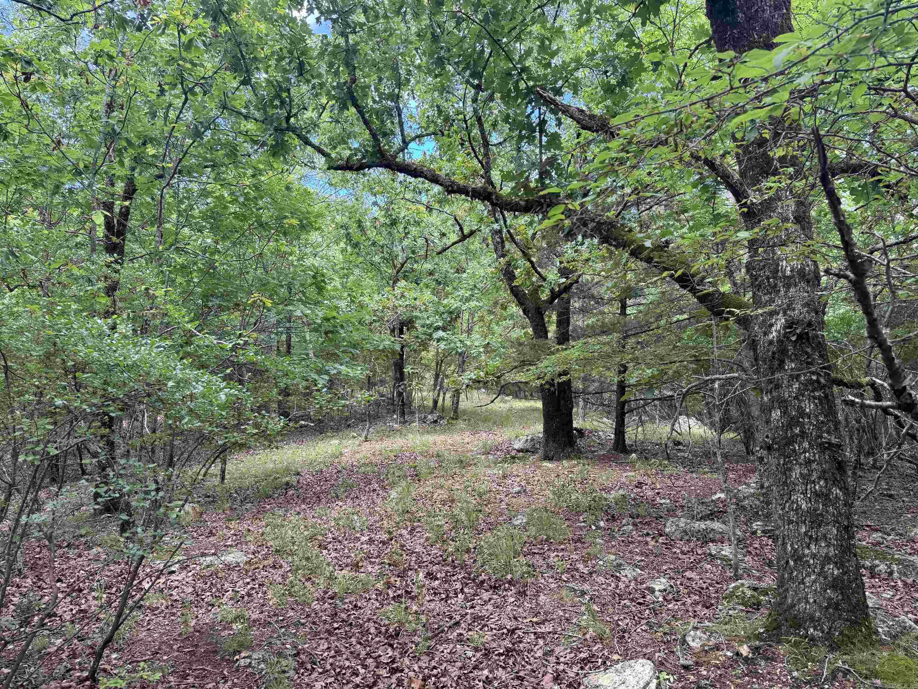 000 Mt Laurel Property Photo 33