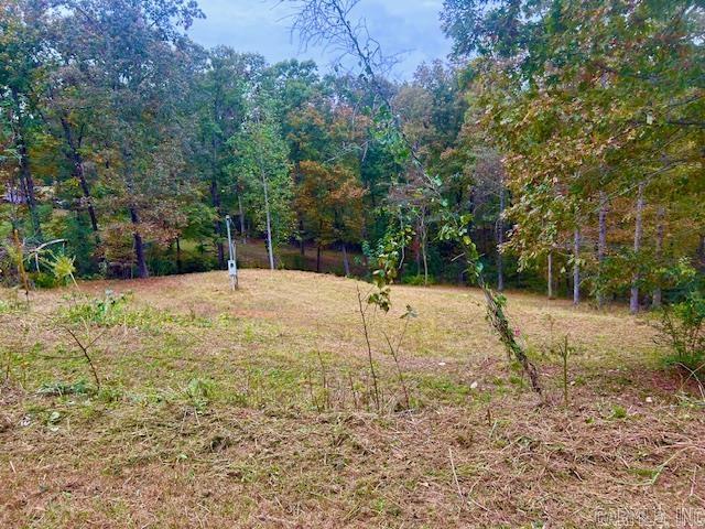814 Herpel Road Property Photo 14