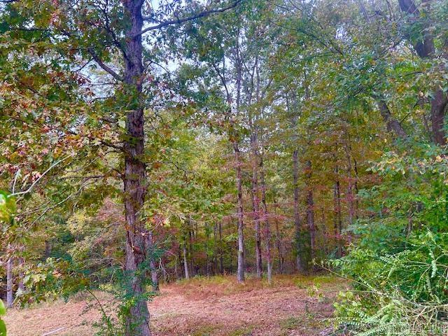 814 Herpel Road Property Photo 19