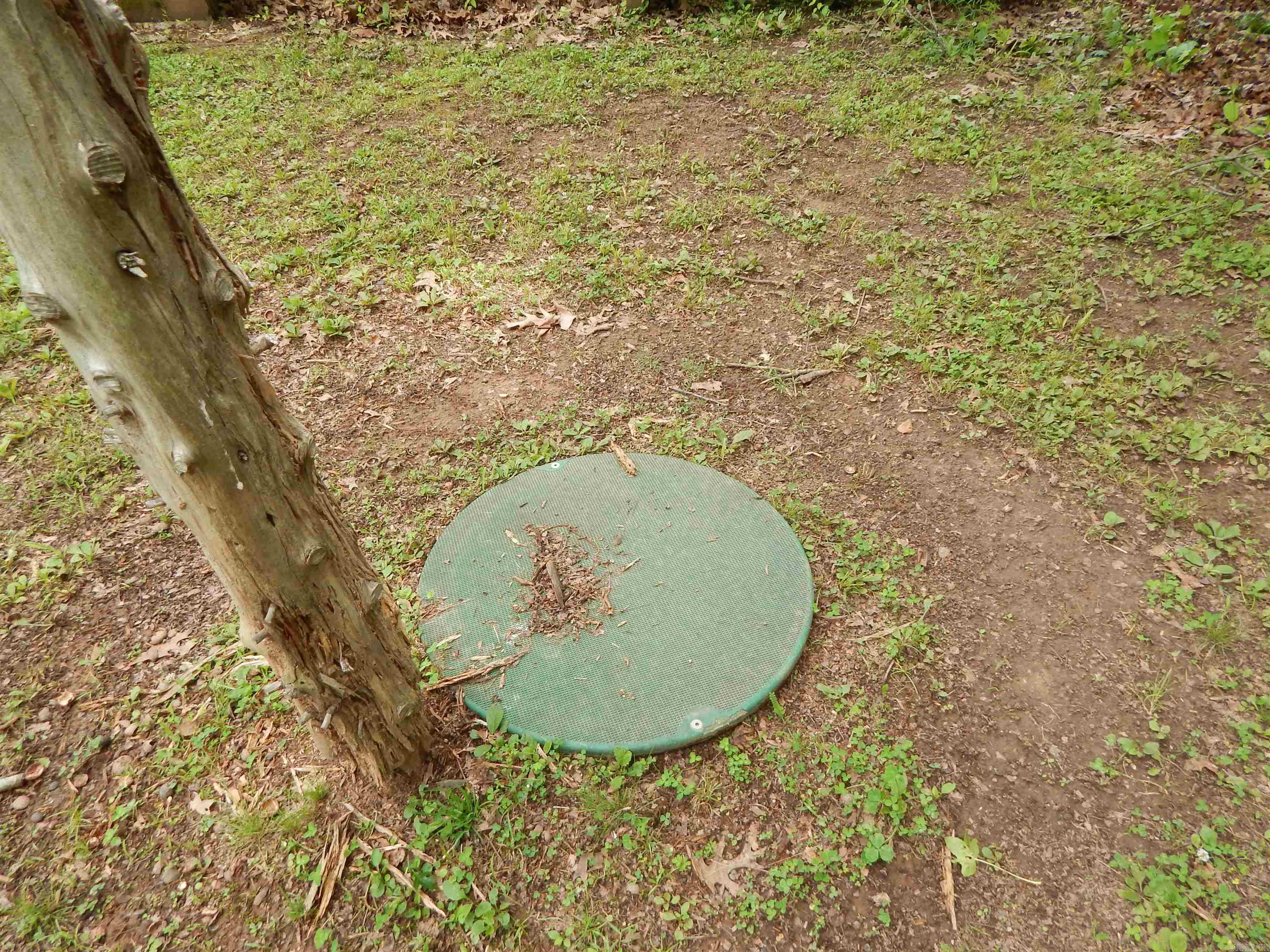 910 Cooterneck Road Property Photo 3