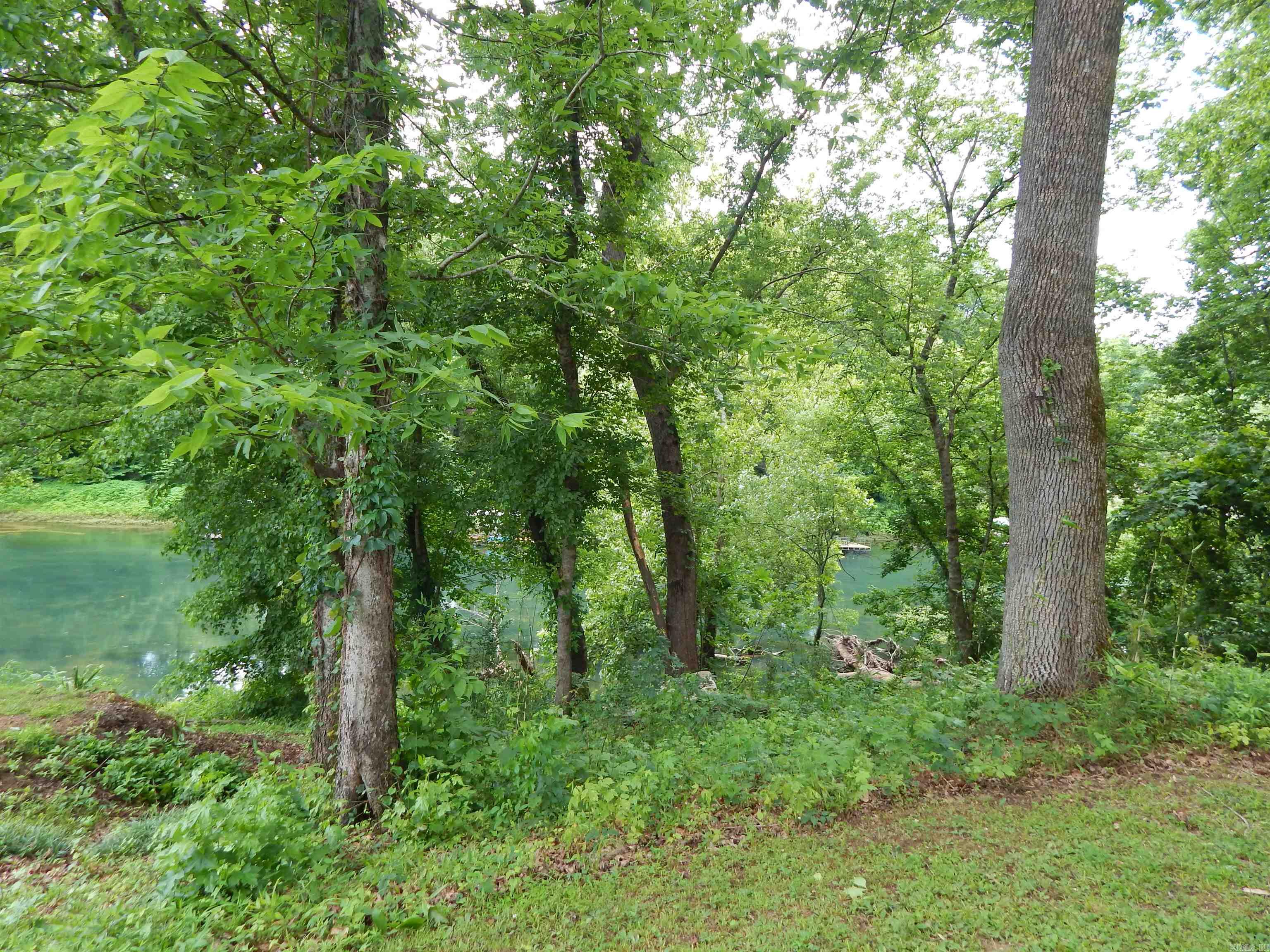 910 Cooterneck Road Property Photo 4
