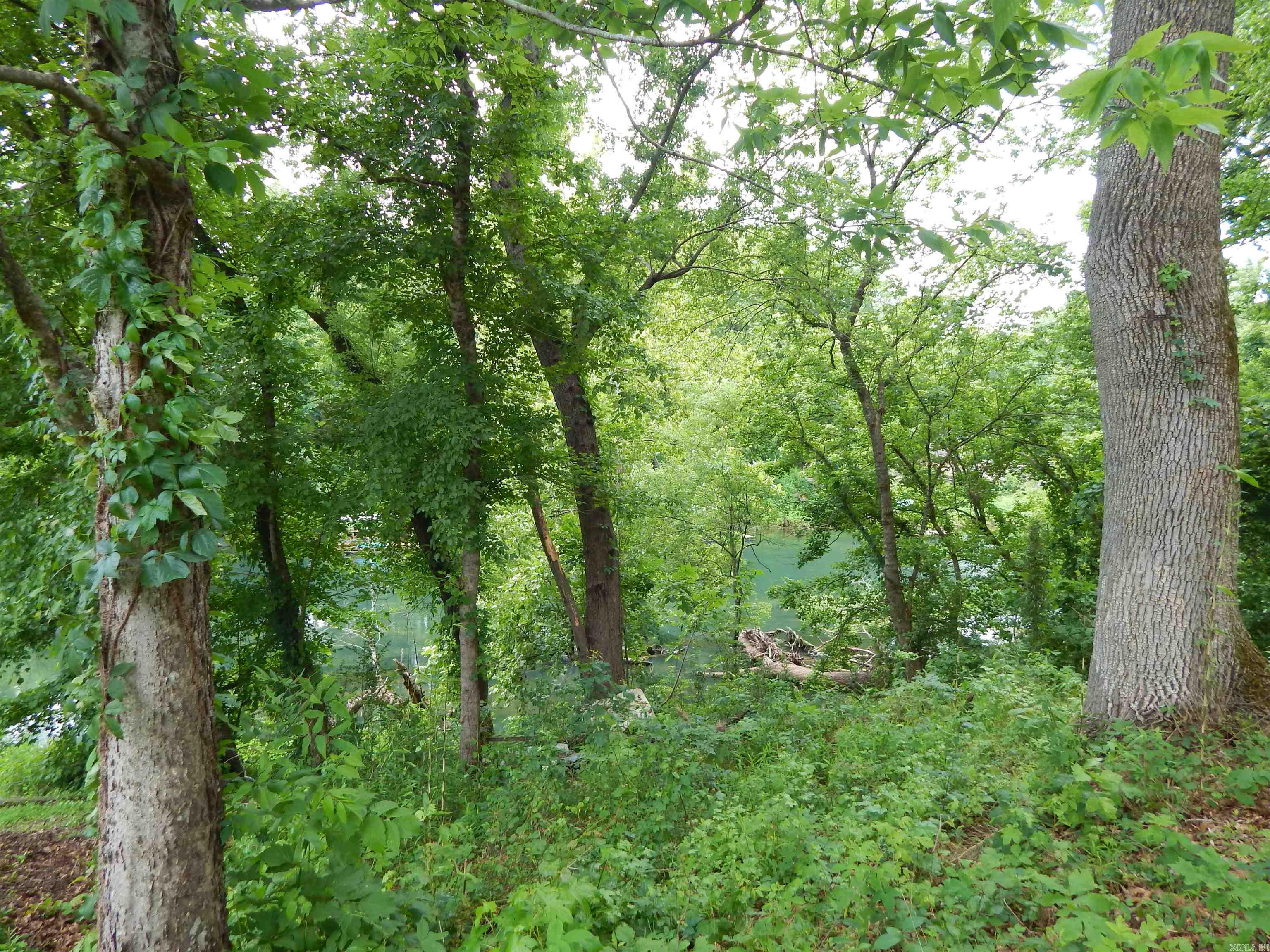 910 Cooterneck Road Property Photo 5
