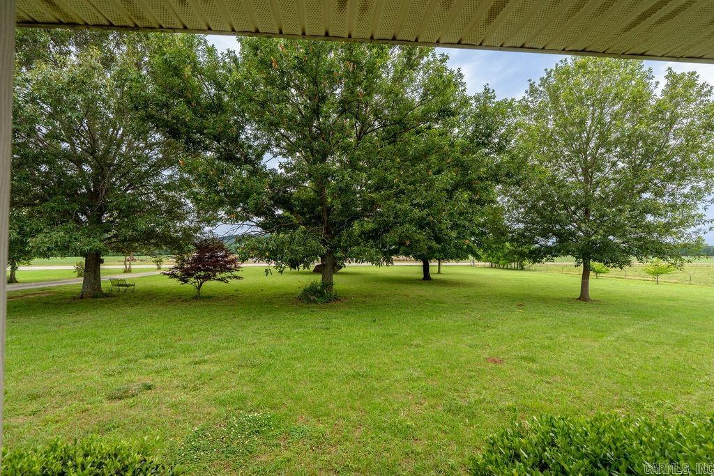 7789 Wilburn Road Property Photo 45