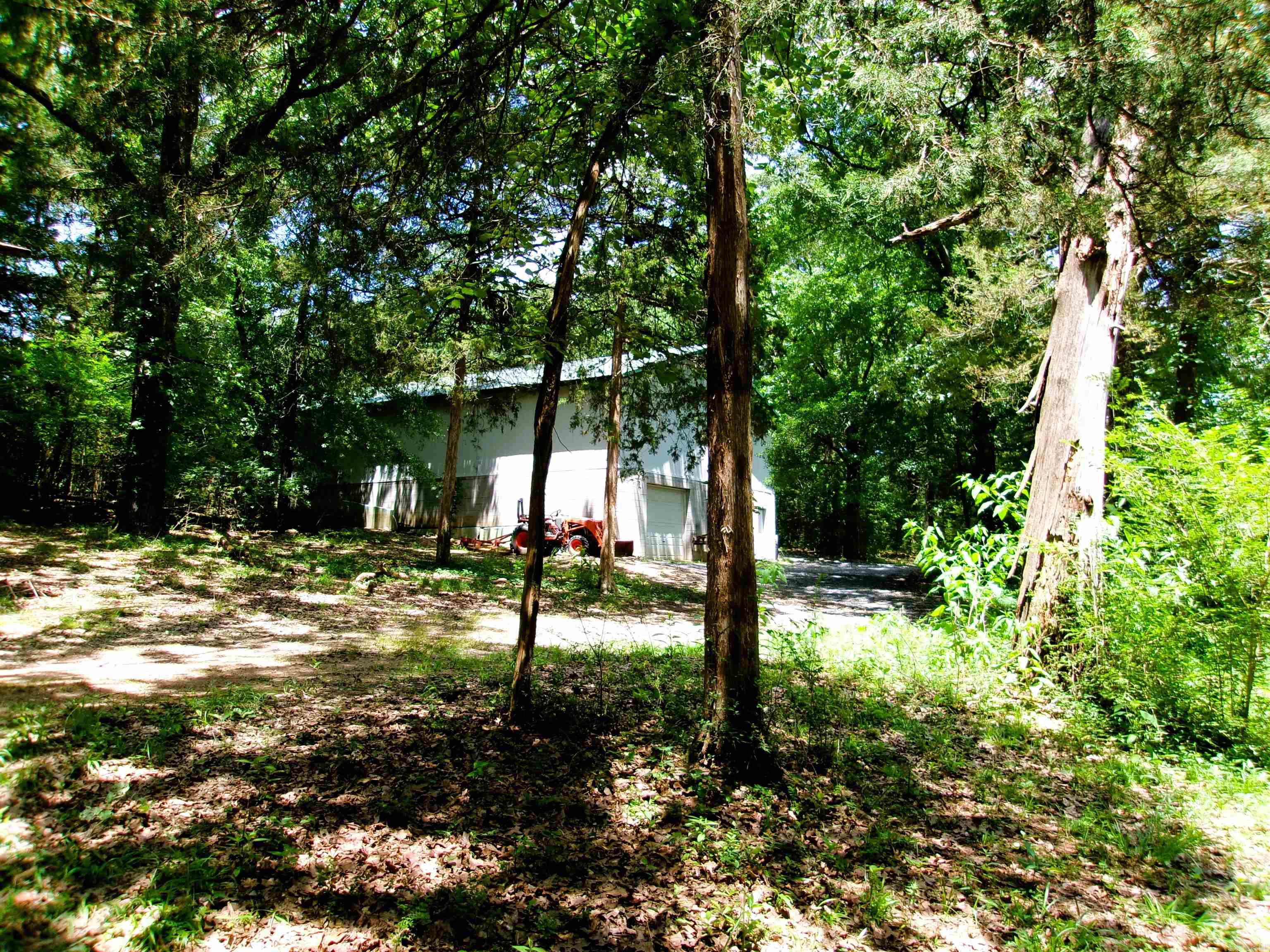 137 Goldsmith Lane Property Photo 6