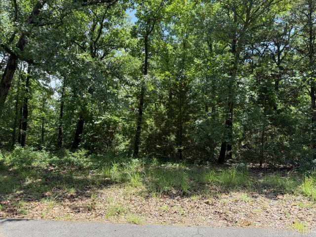 Lot 33 Cedar Property Photo 2