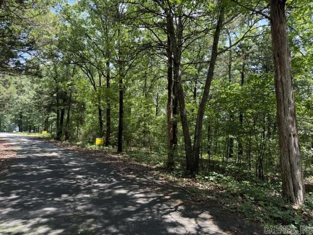 Lot 33 Cedar Property Photo 3
