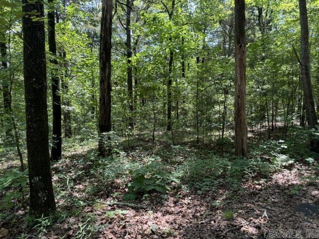 Lot 33 Cedar Property Photo 4