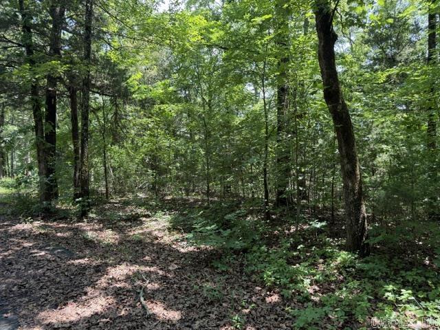 Lot 33 Cedar Property Photo 5