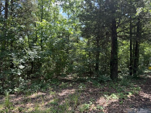 Lot 33 Cedar Property Photo 6