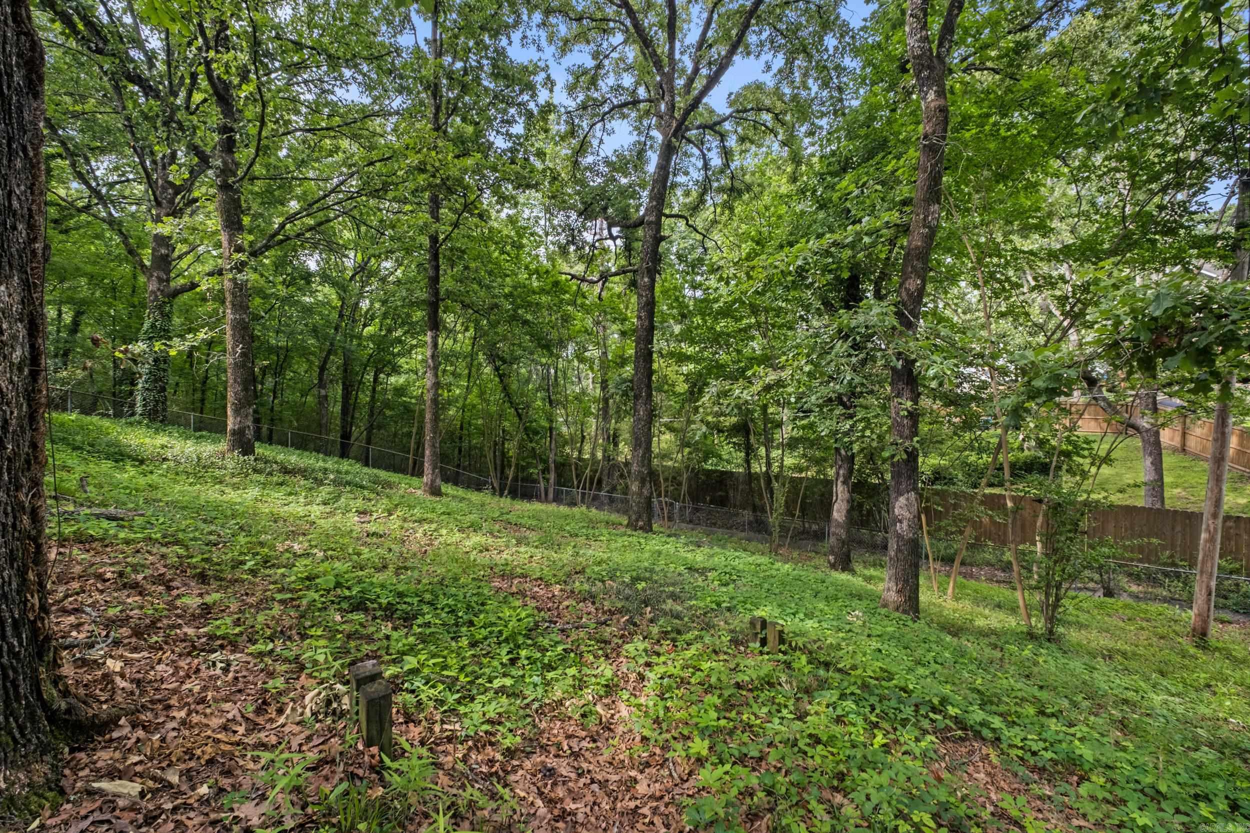 200 Fork River Road Property Photo 46