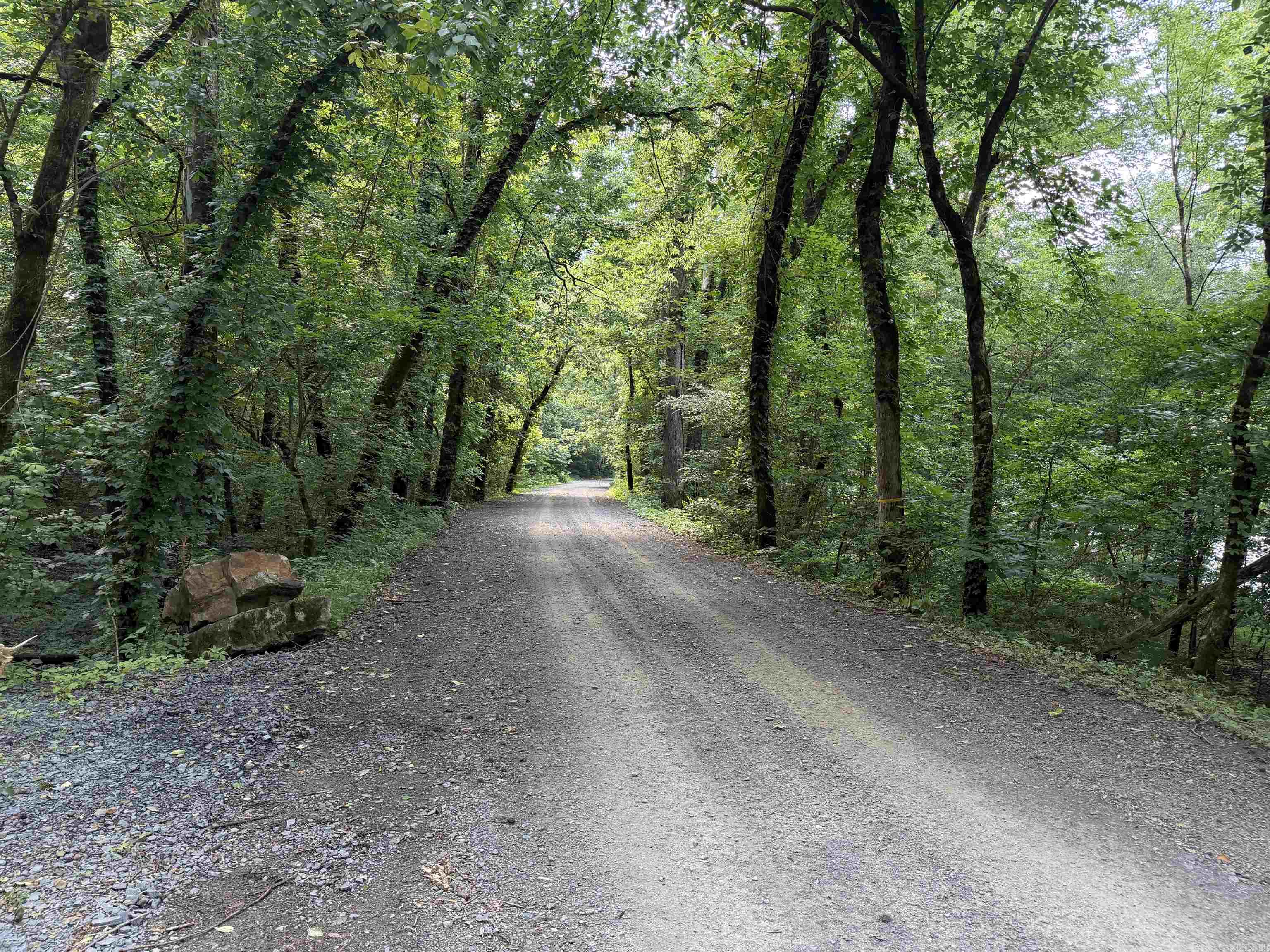 000 River Road Property Photo 11