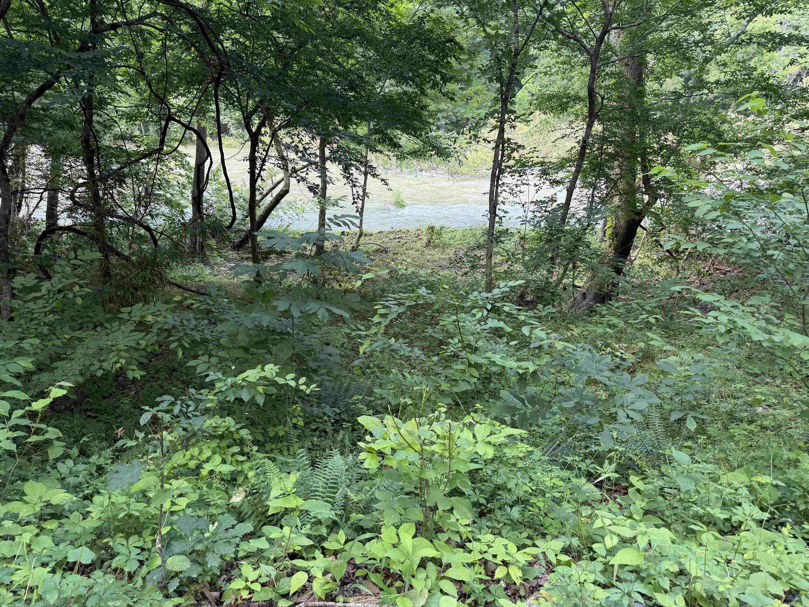 000 River Road Property Photo 12