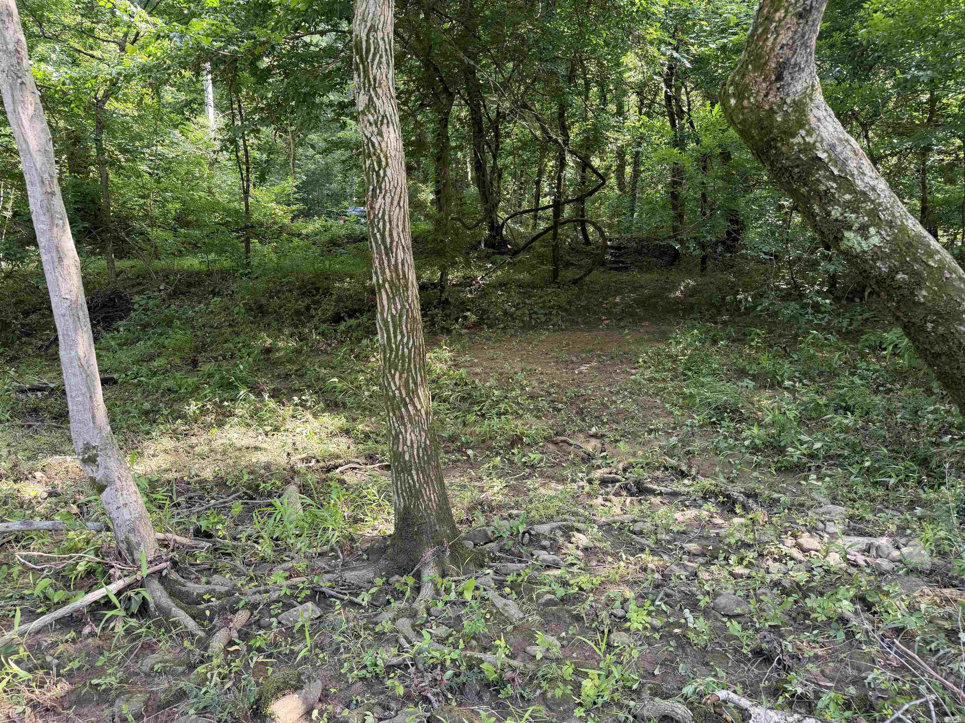 000 River Road Property Photo 15