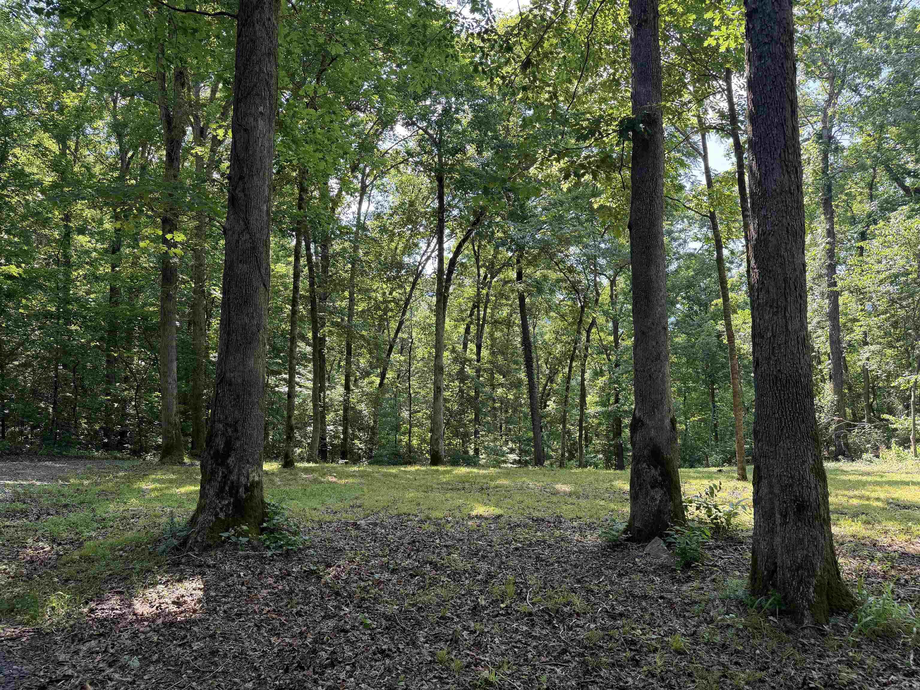 000 River Road Property Photo 26