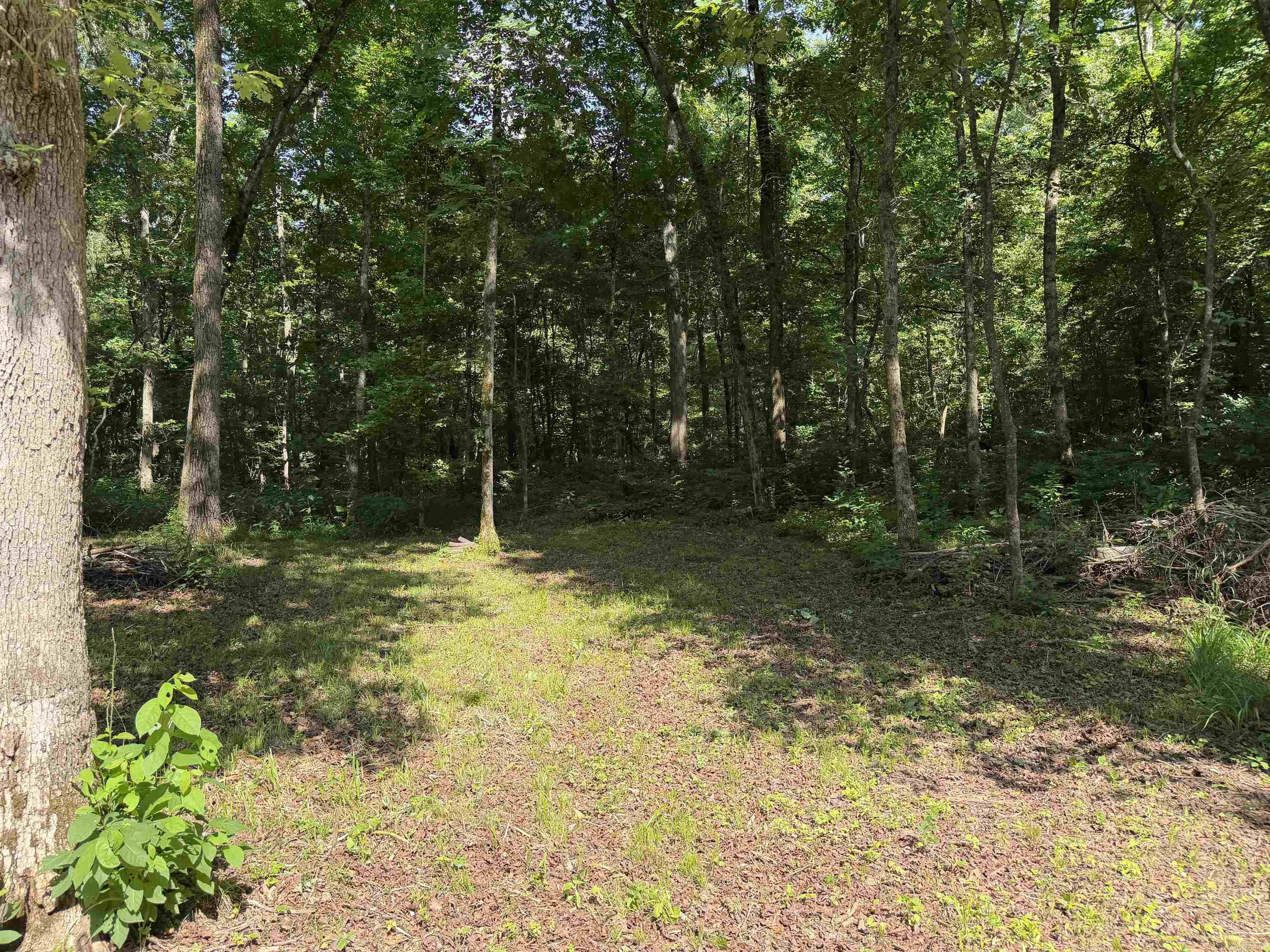 000 River Road Property Photo 27
