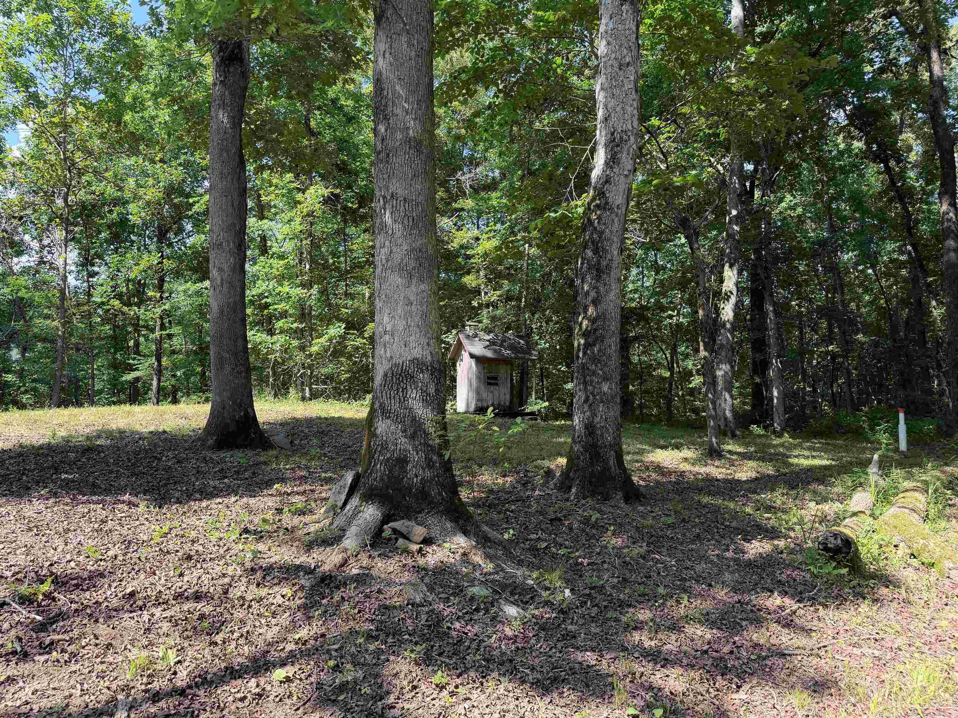 000 River Road Property Photo 28