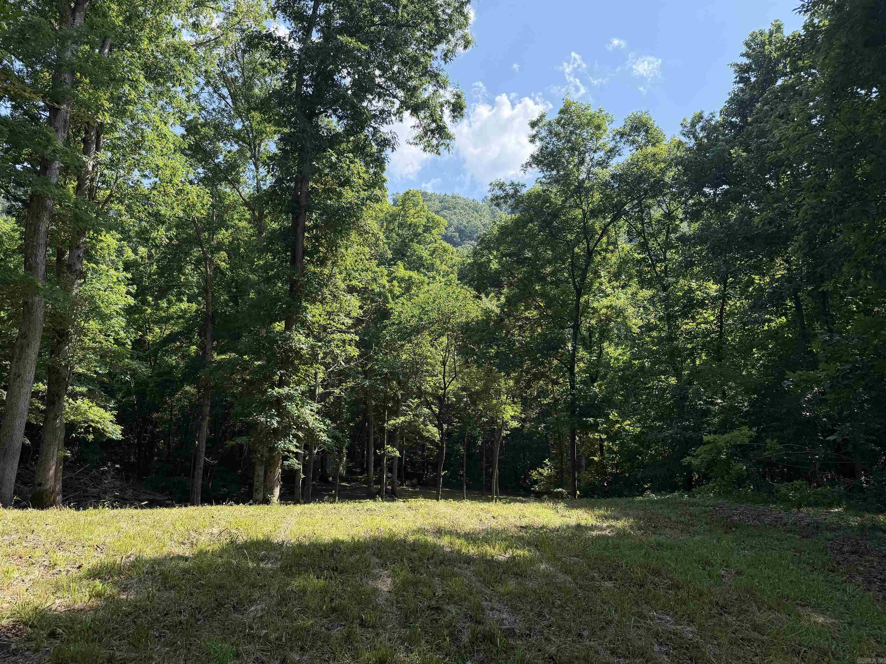 000 River Road Property Photo 31