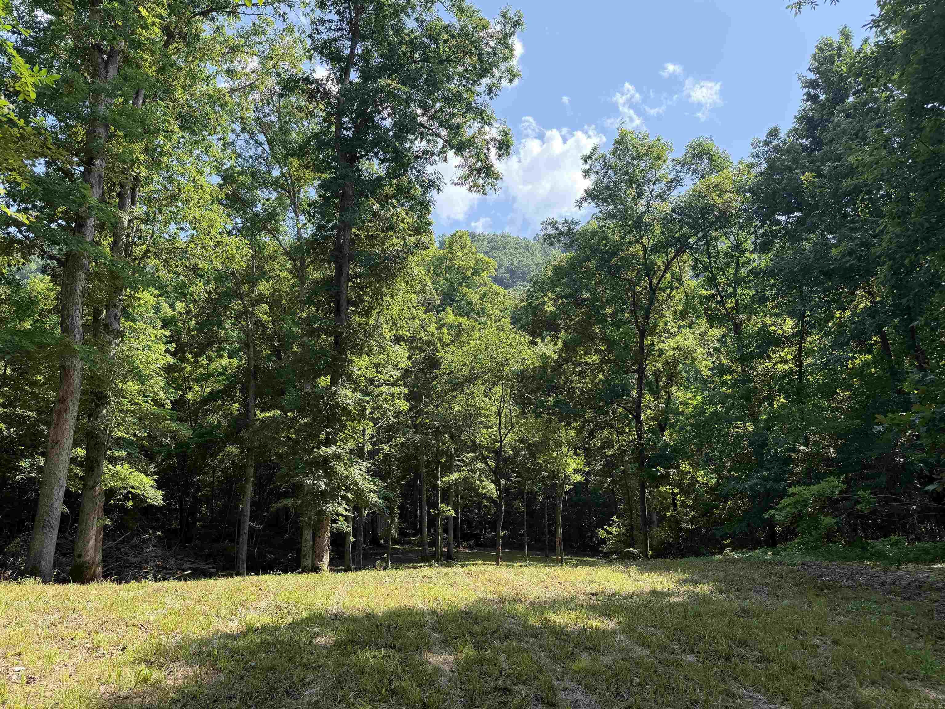 000 River Road Property Photo 32