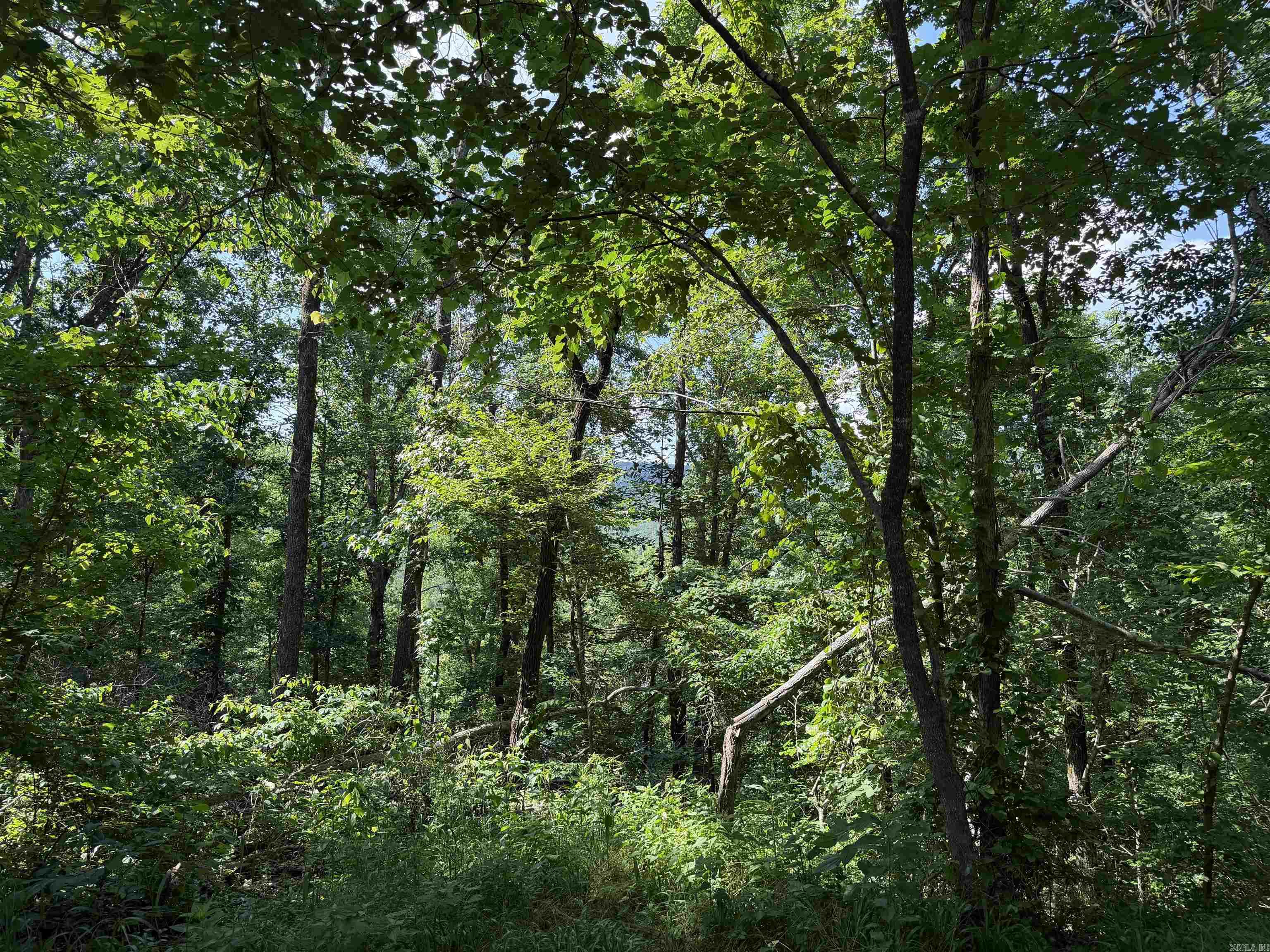 000 River Road Property Photo 33