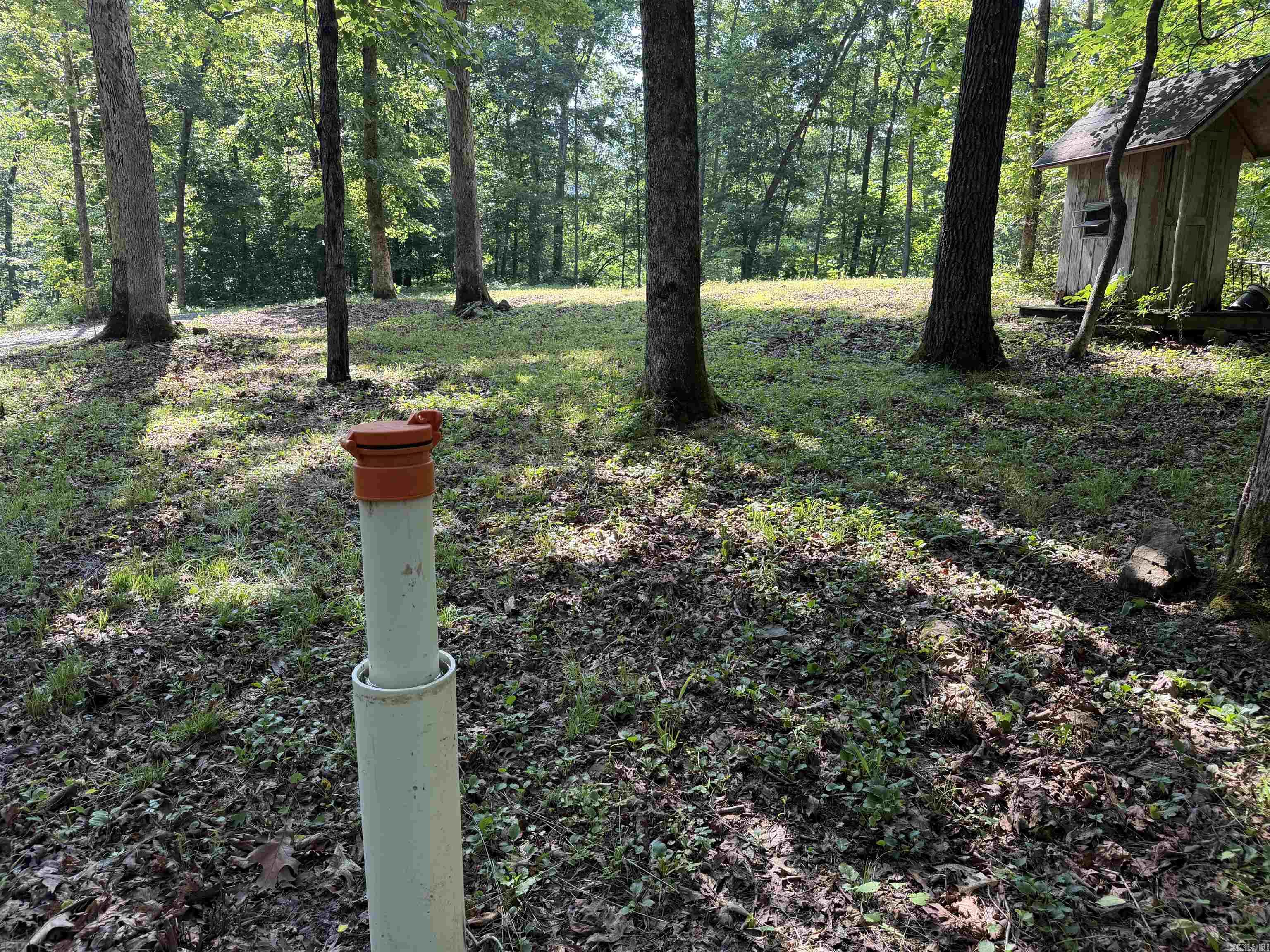 000 River Road Property Photo 36