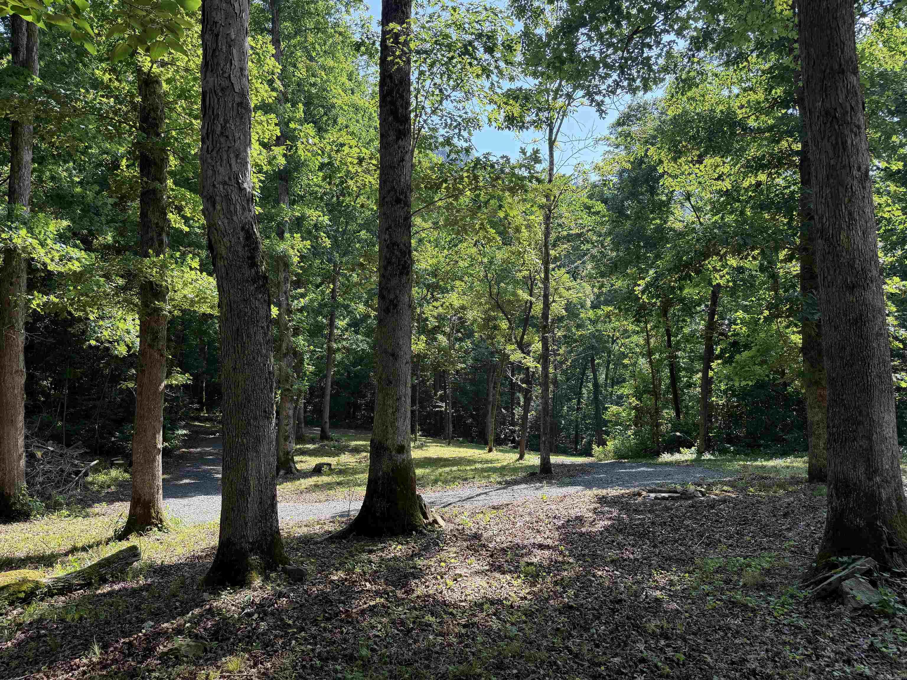 000 River Road Property Photo 37