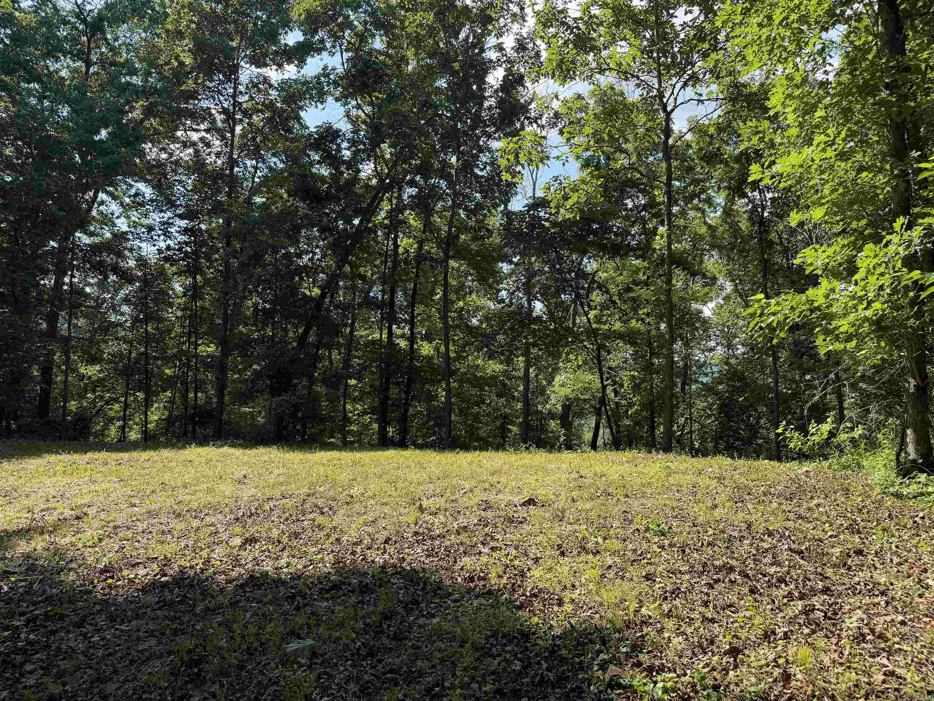 000 River Road Property Photo 38