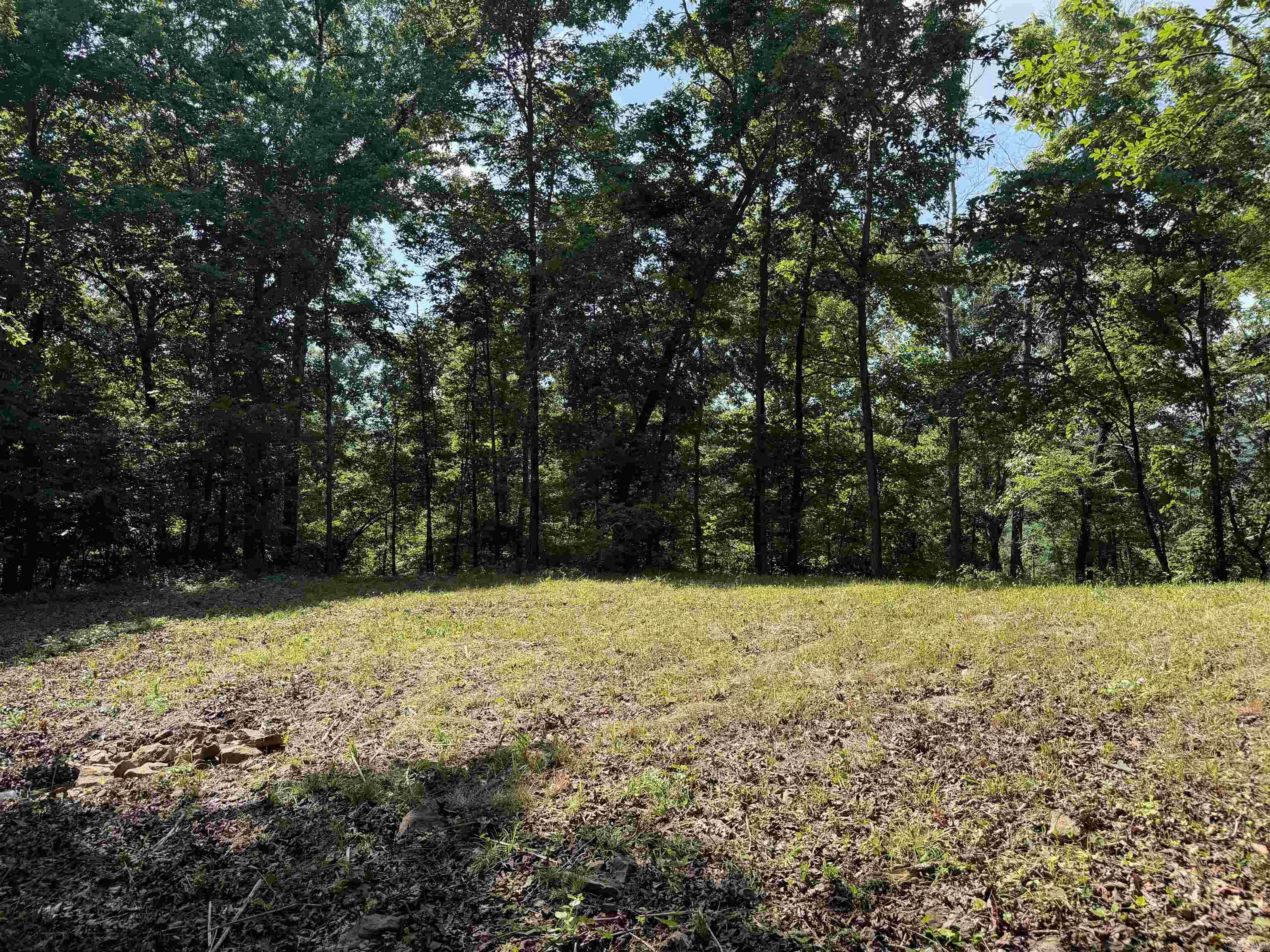 000 River Road Property Photo 39