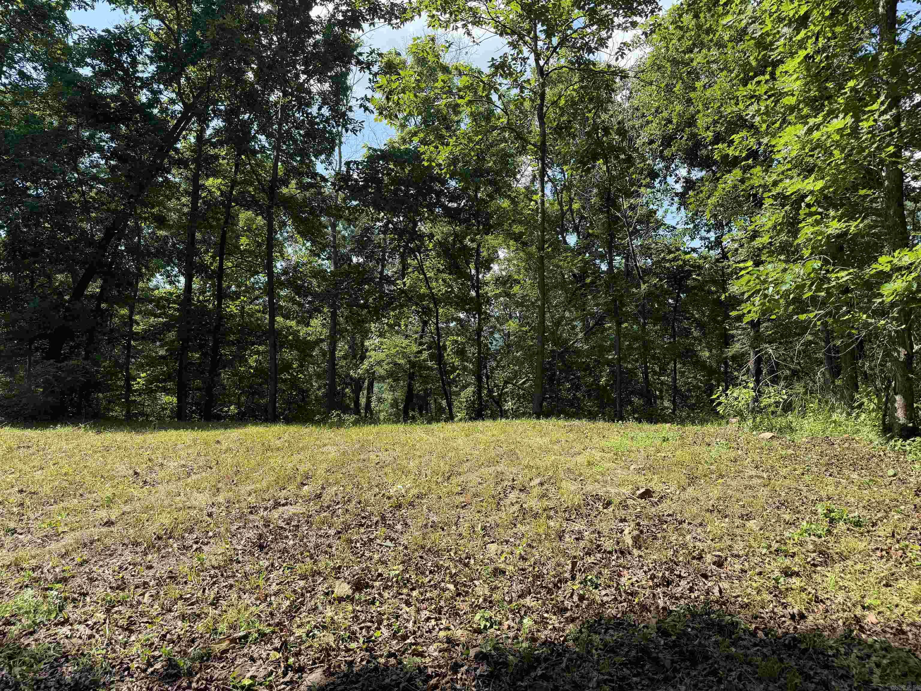 000 River Road Property Photo 41