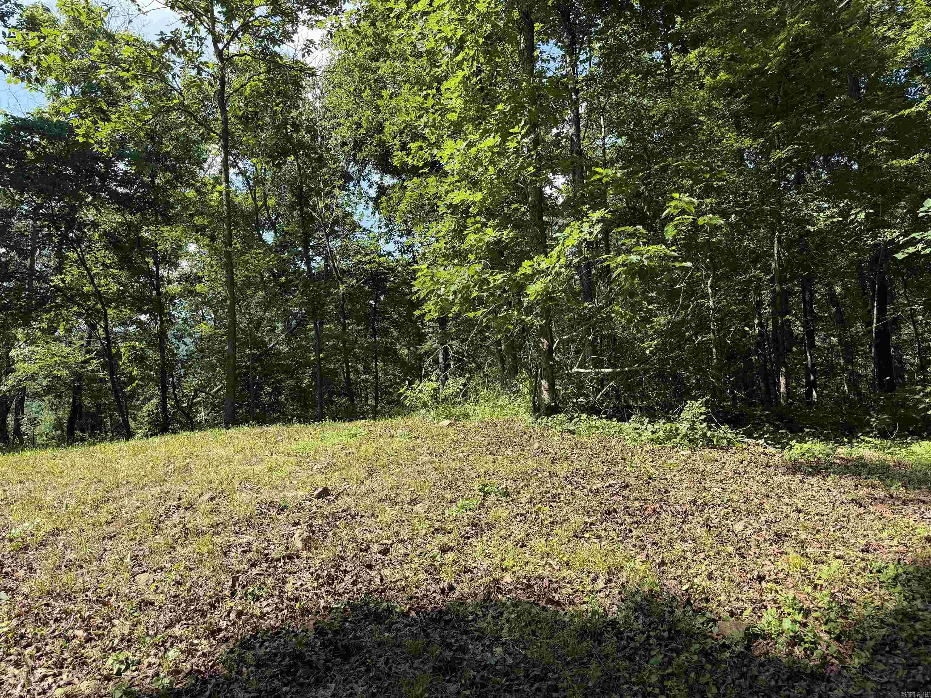 000 River Road Property Photo 43