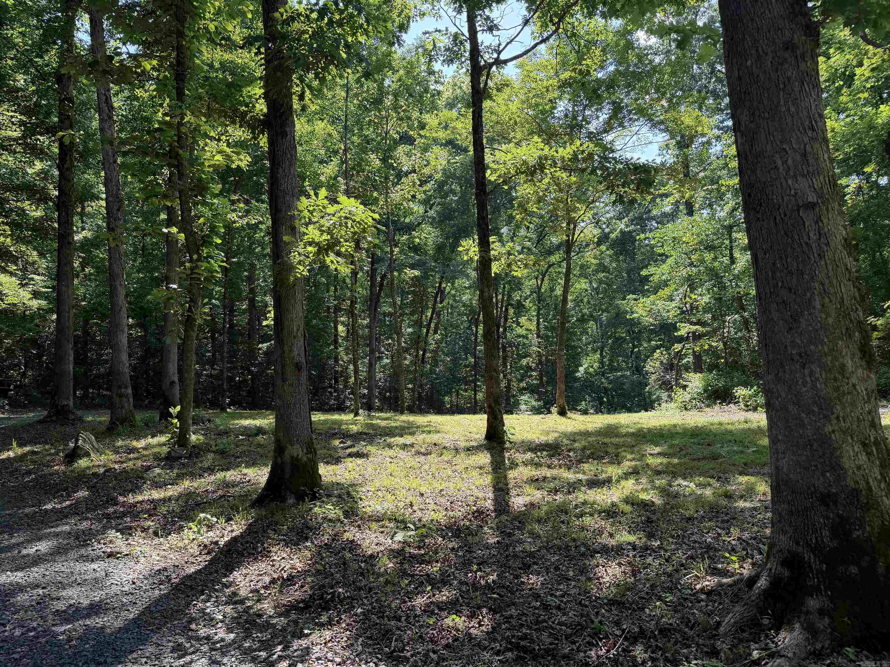 000 River Road Property Photo 45
