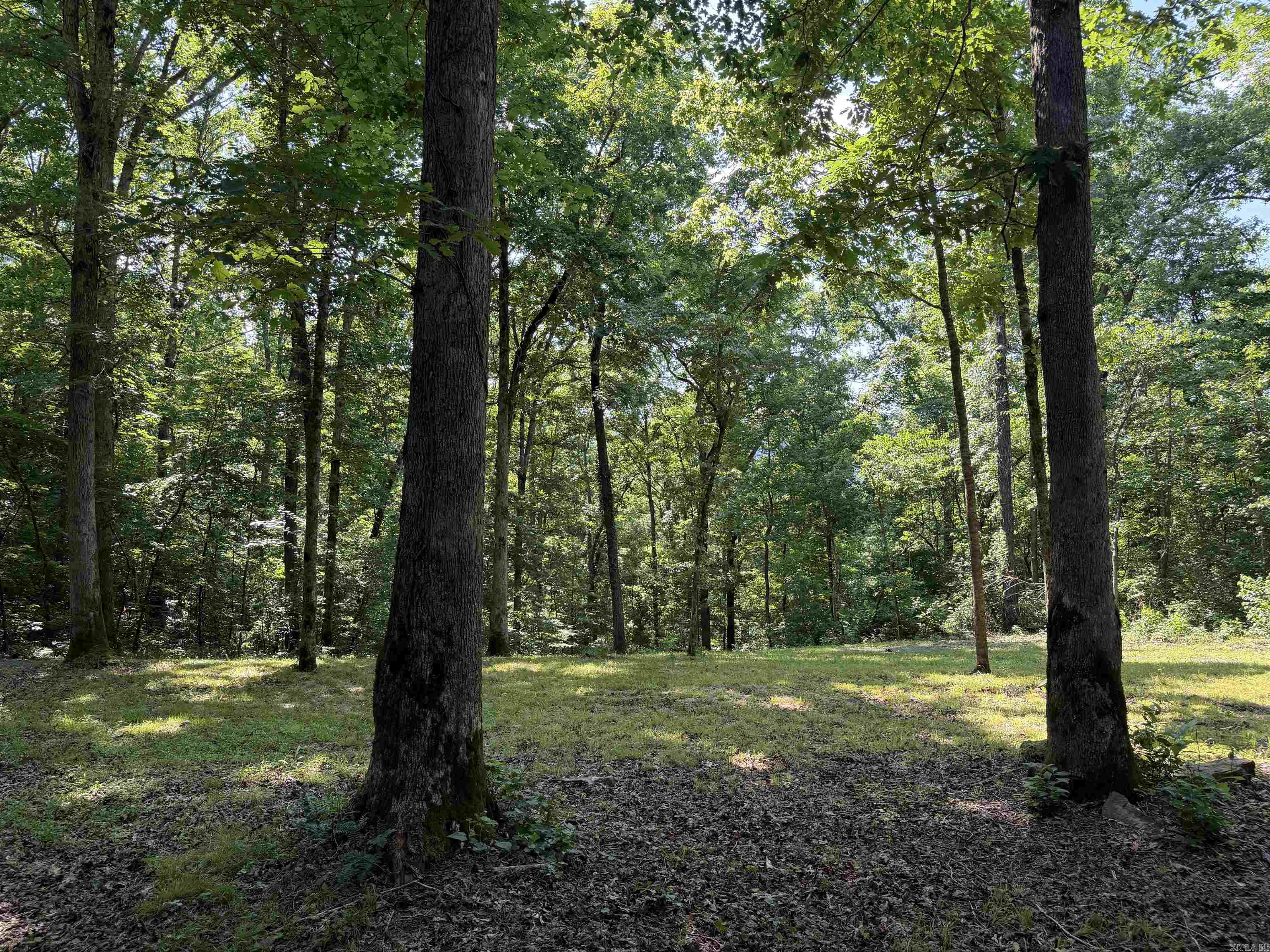 000 River Road Property Photo 48