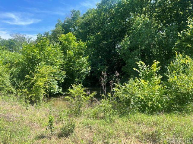 53 B Pilgrim Rest Road Property Photo 4