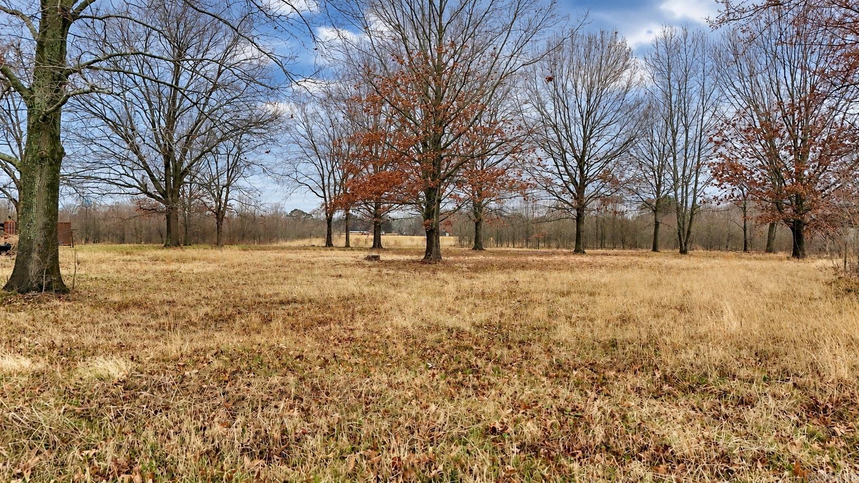 Tbd Levinston North Property Photo 4
