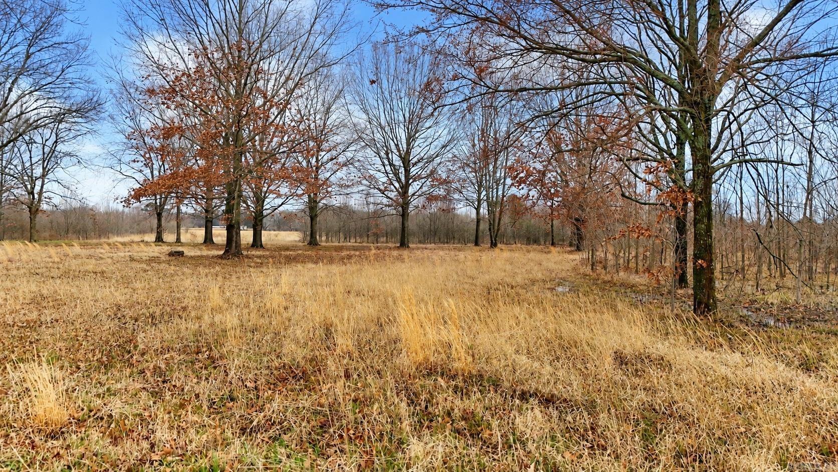 Tbd Levinston North Property Photo 5