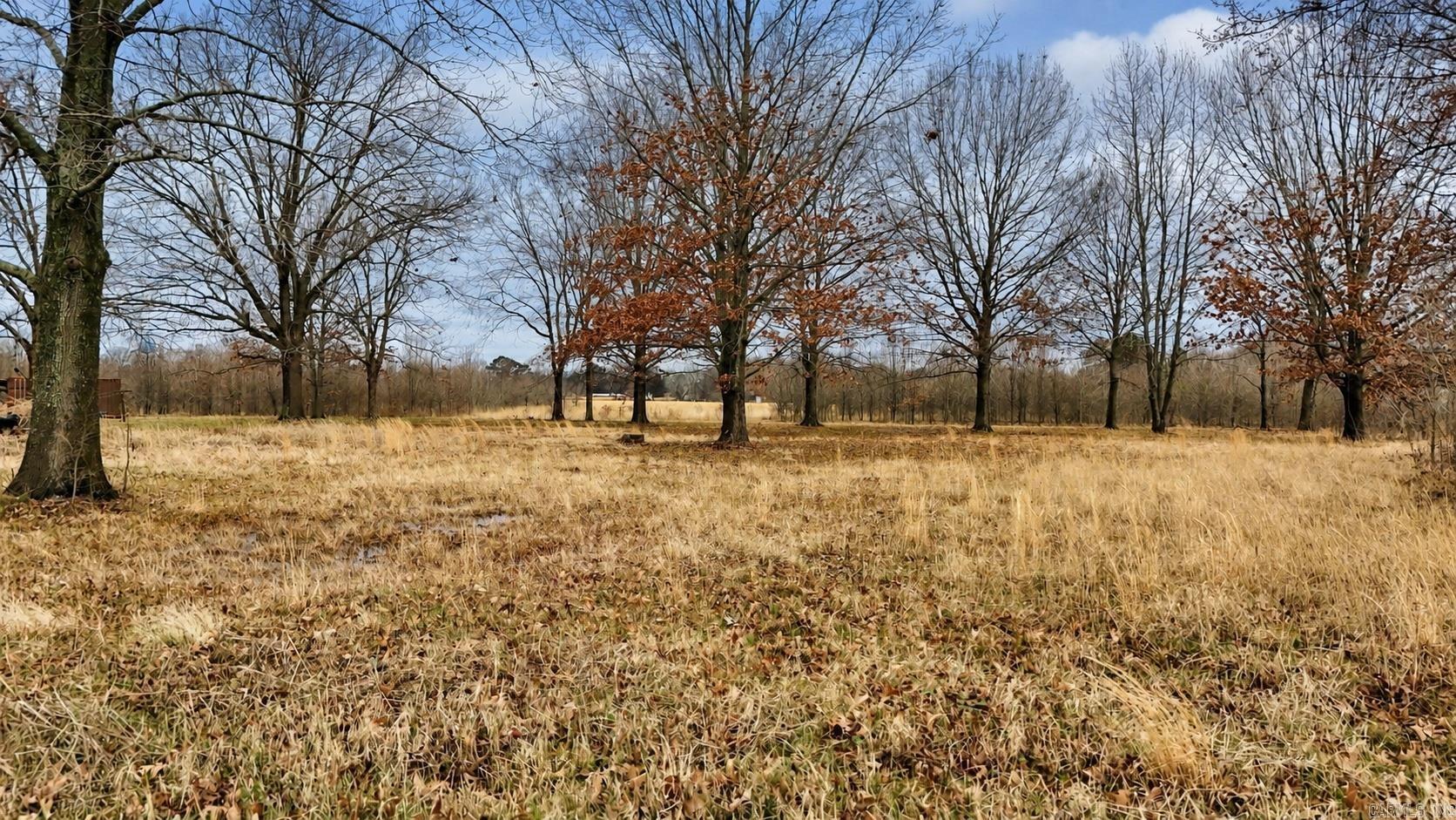 Tbd Levinston North Property Photo 6